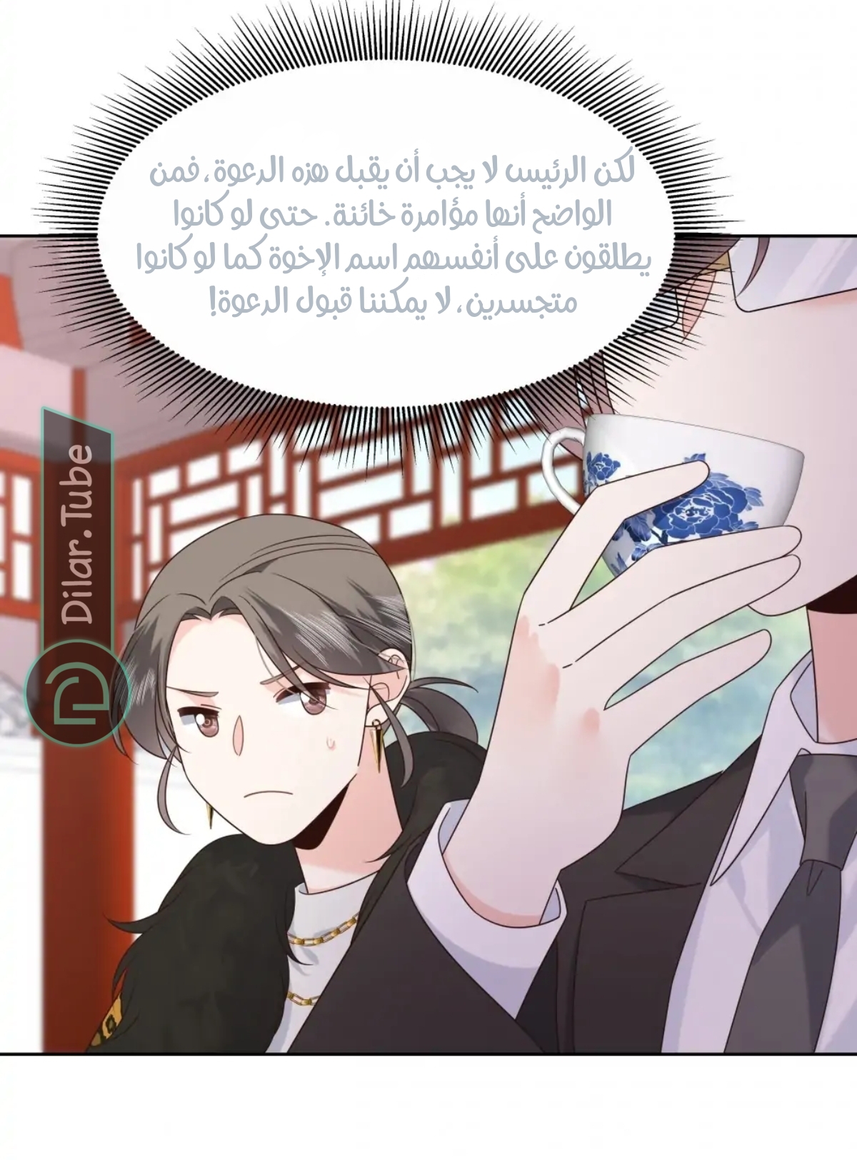 الصفحة 17