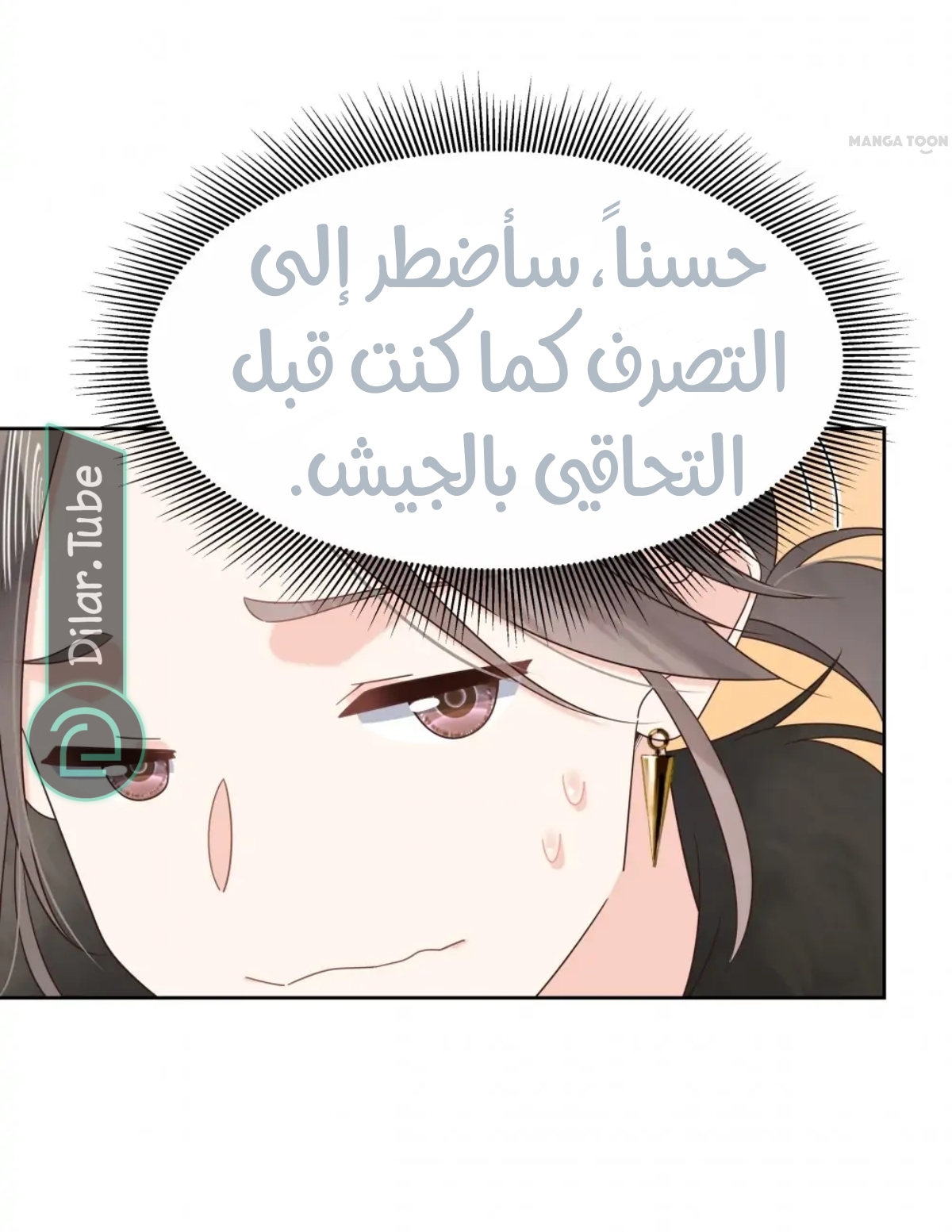 الصفحة 26