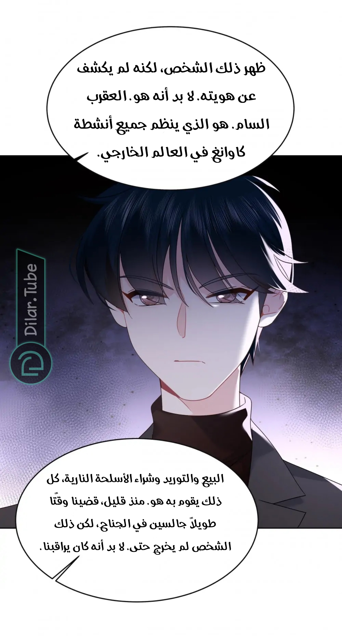 الصفحة 13