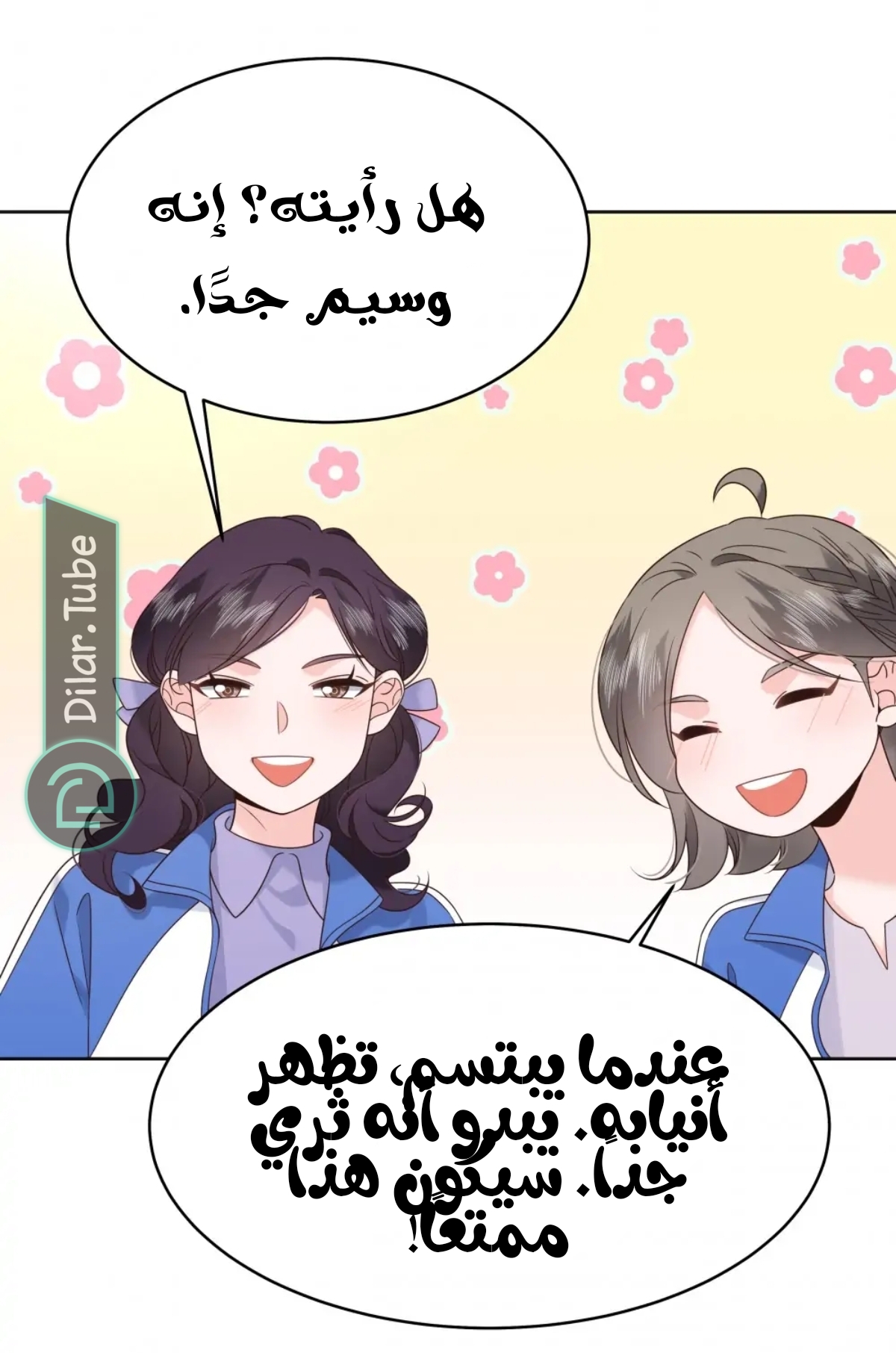 الصفحة 13
