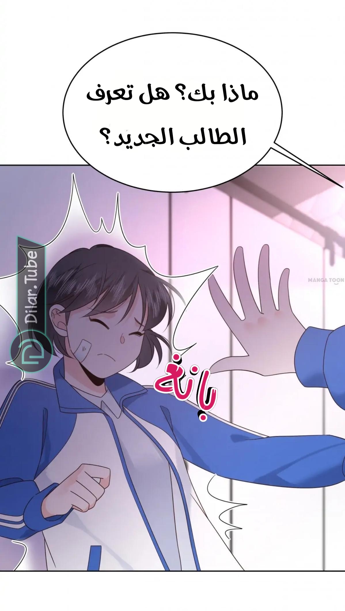 الصفحة 26