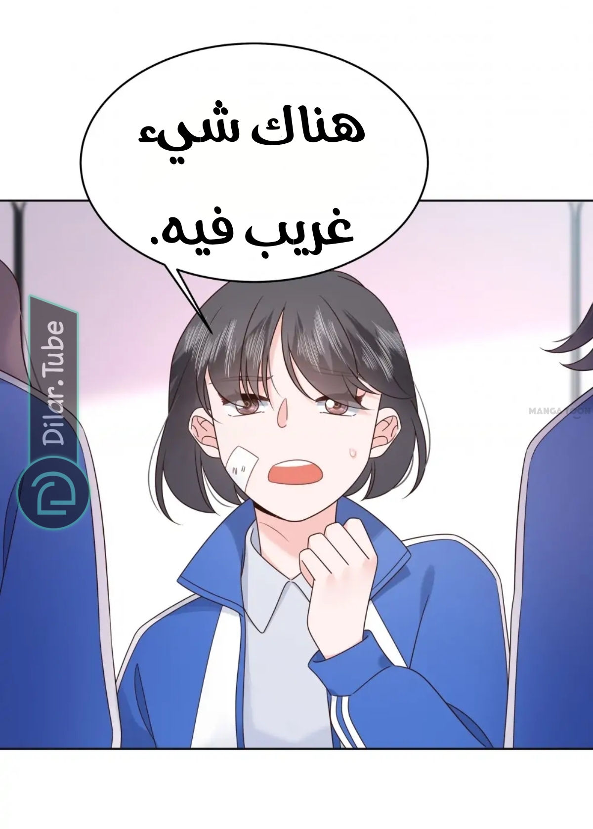 الصفحة 29
