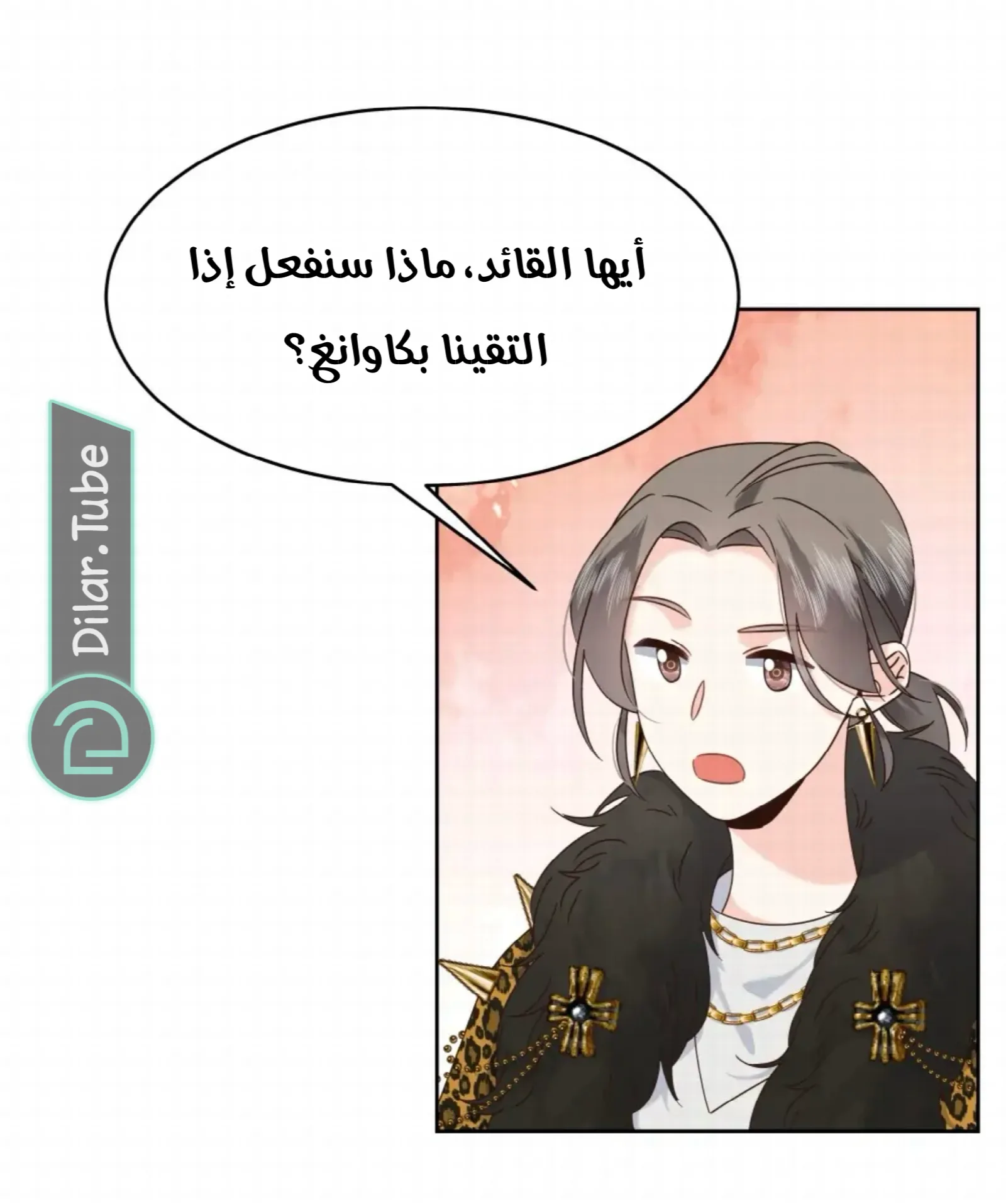 الصفحة 13