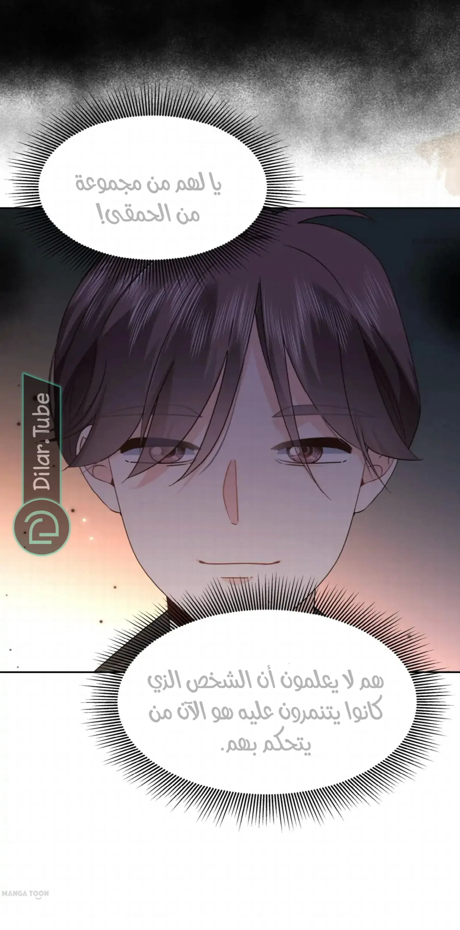 الصفحة 25