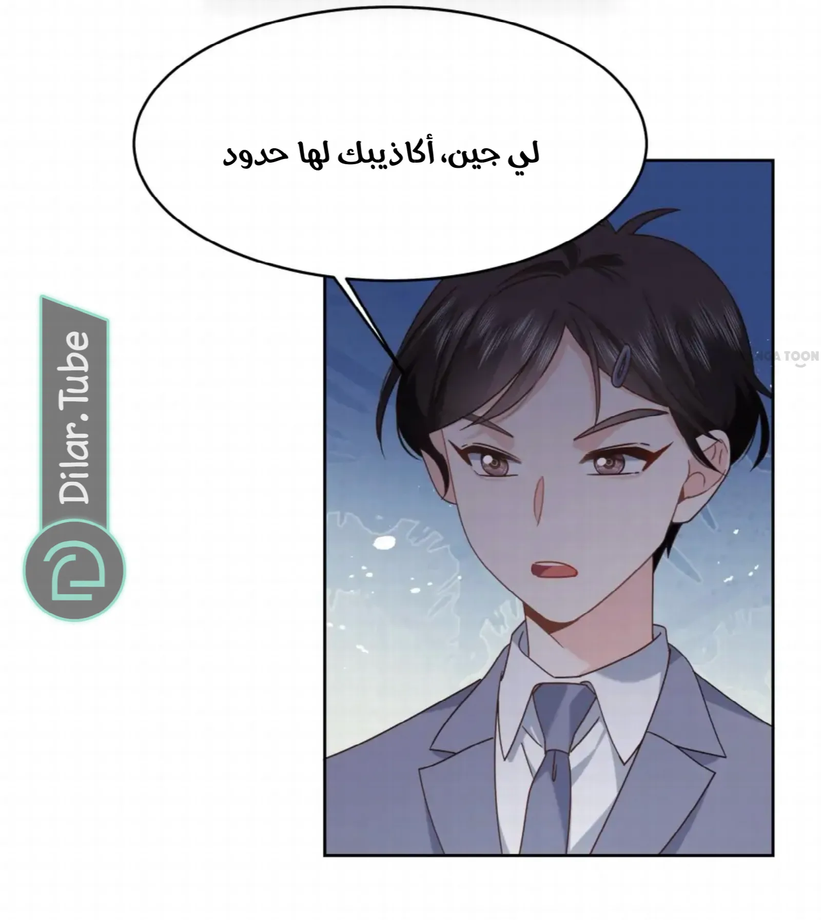 الصفحة 27