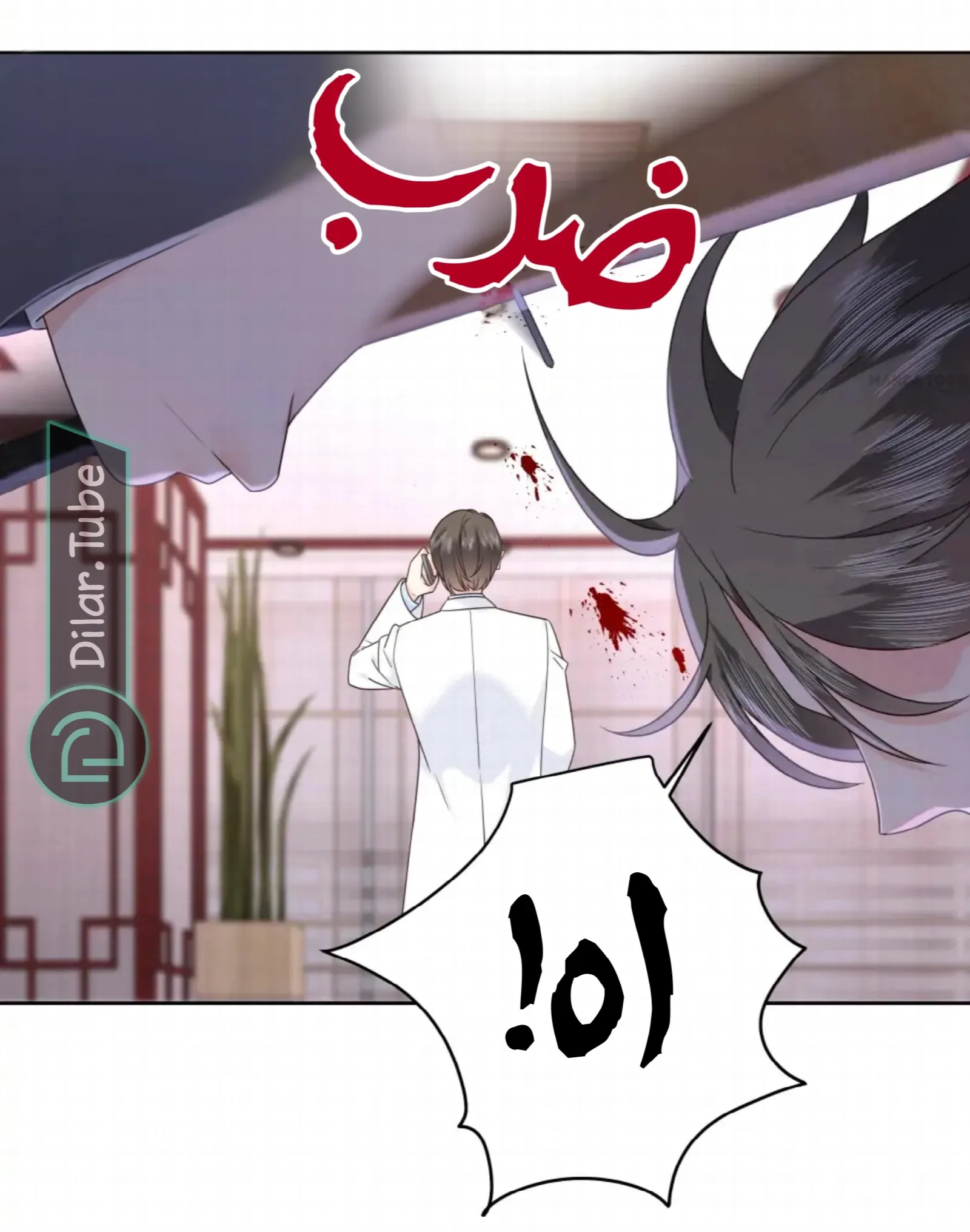 الصفحة 14