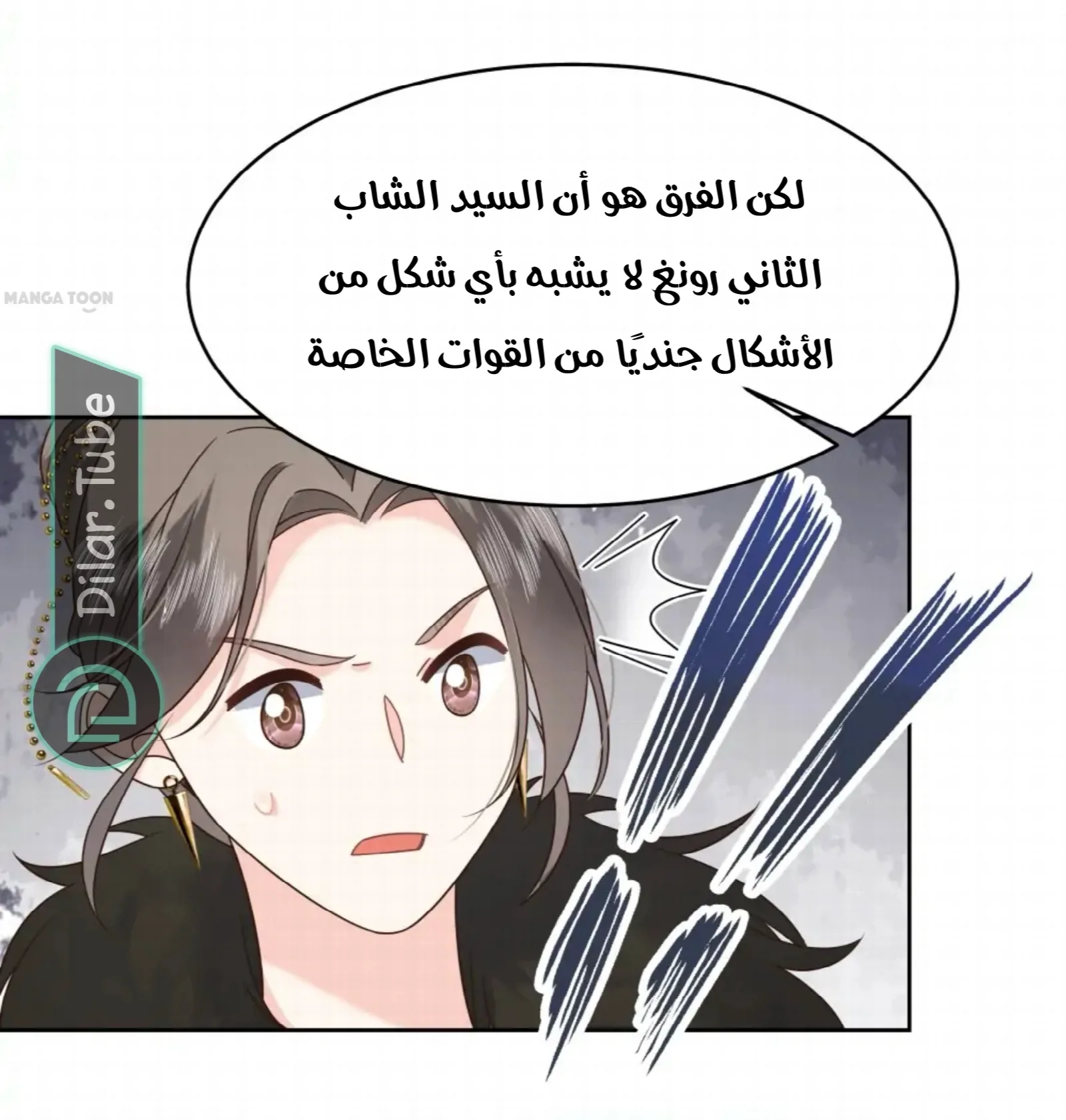 الصفحة 17