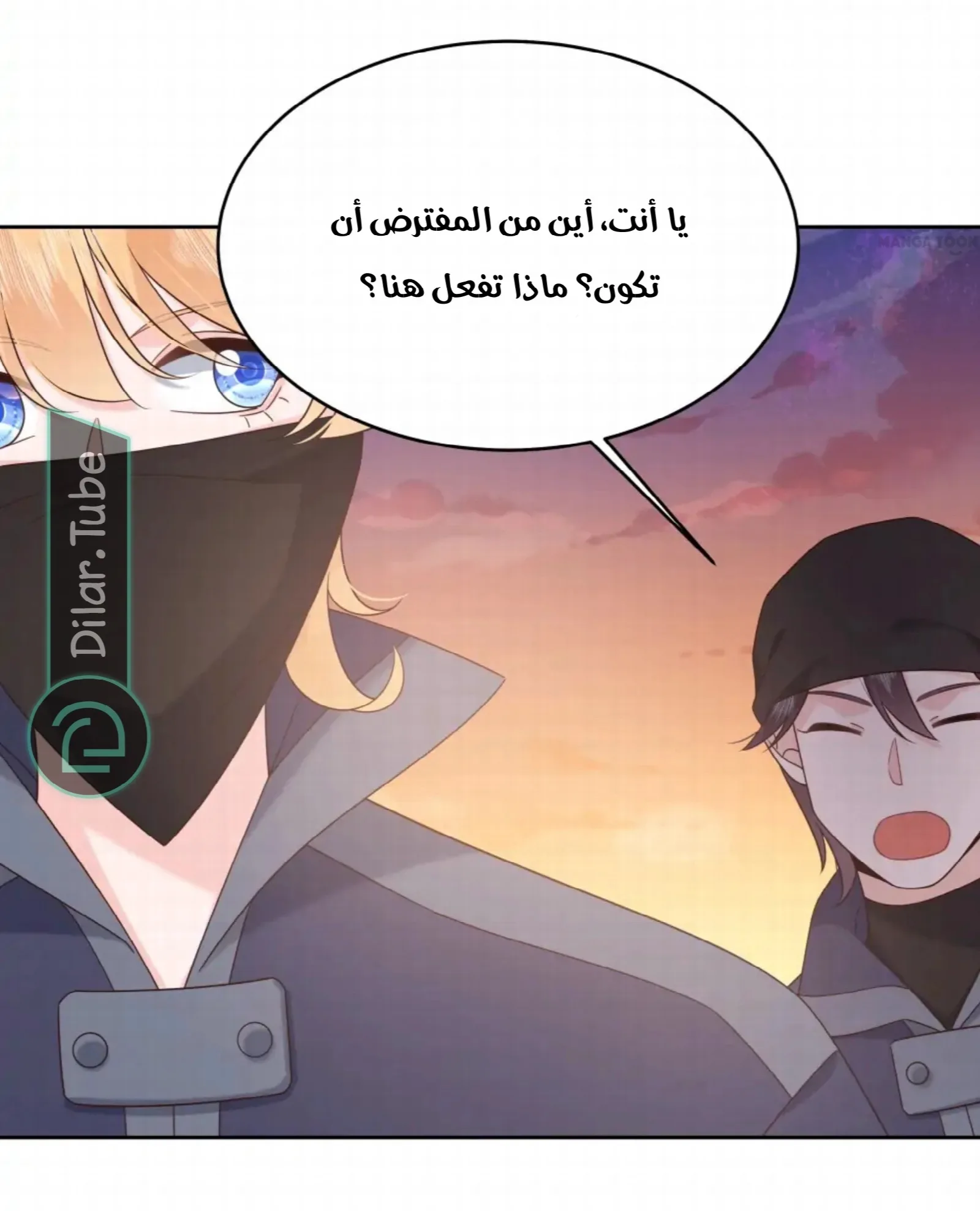 الصفحة 24
