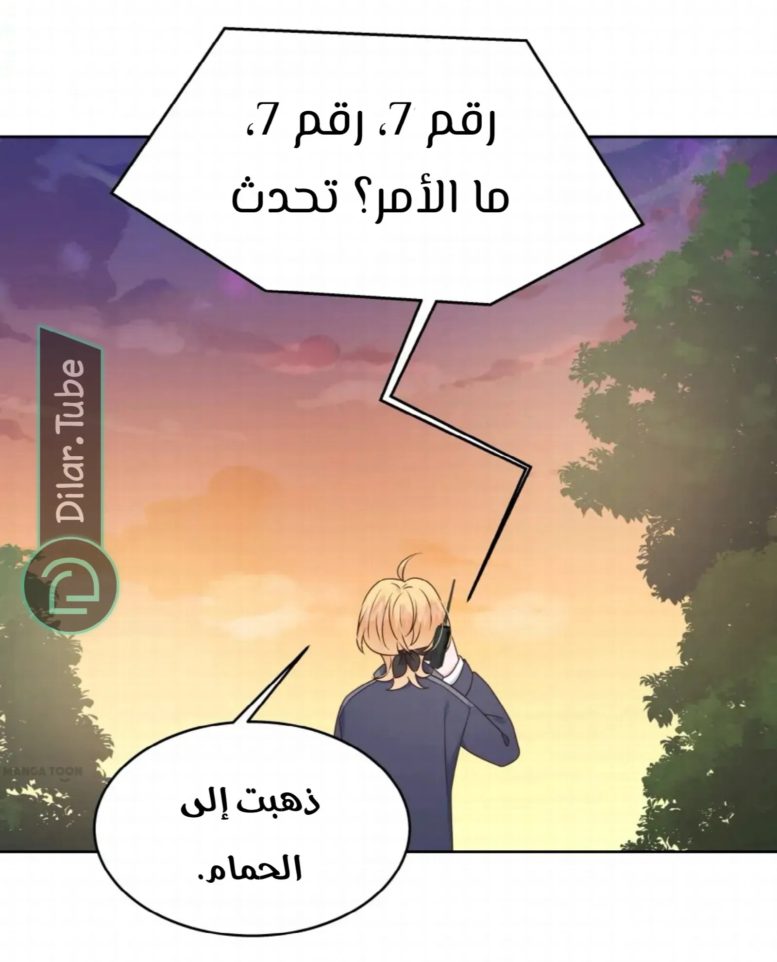 الصفحة 26