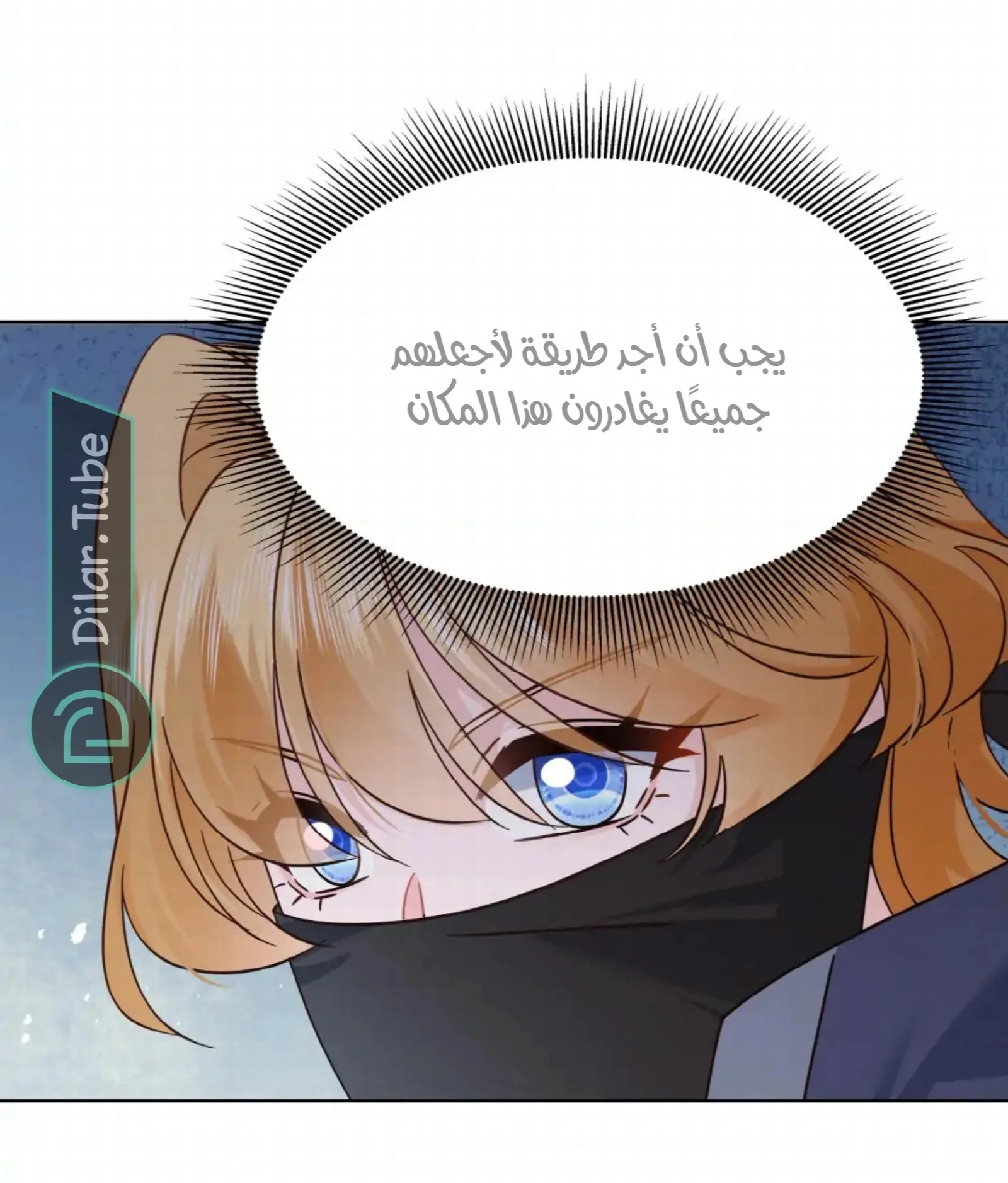 الصفحة 27