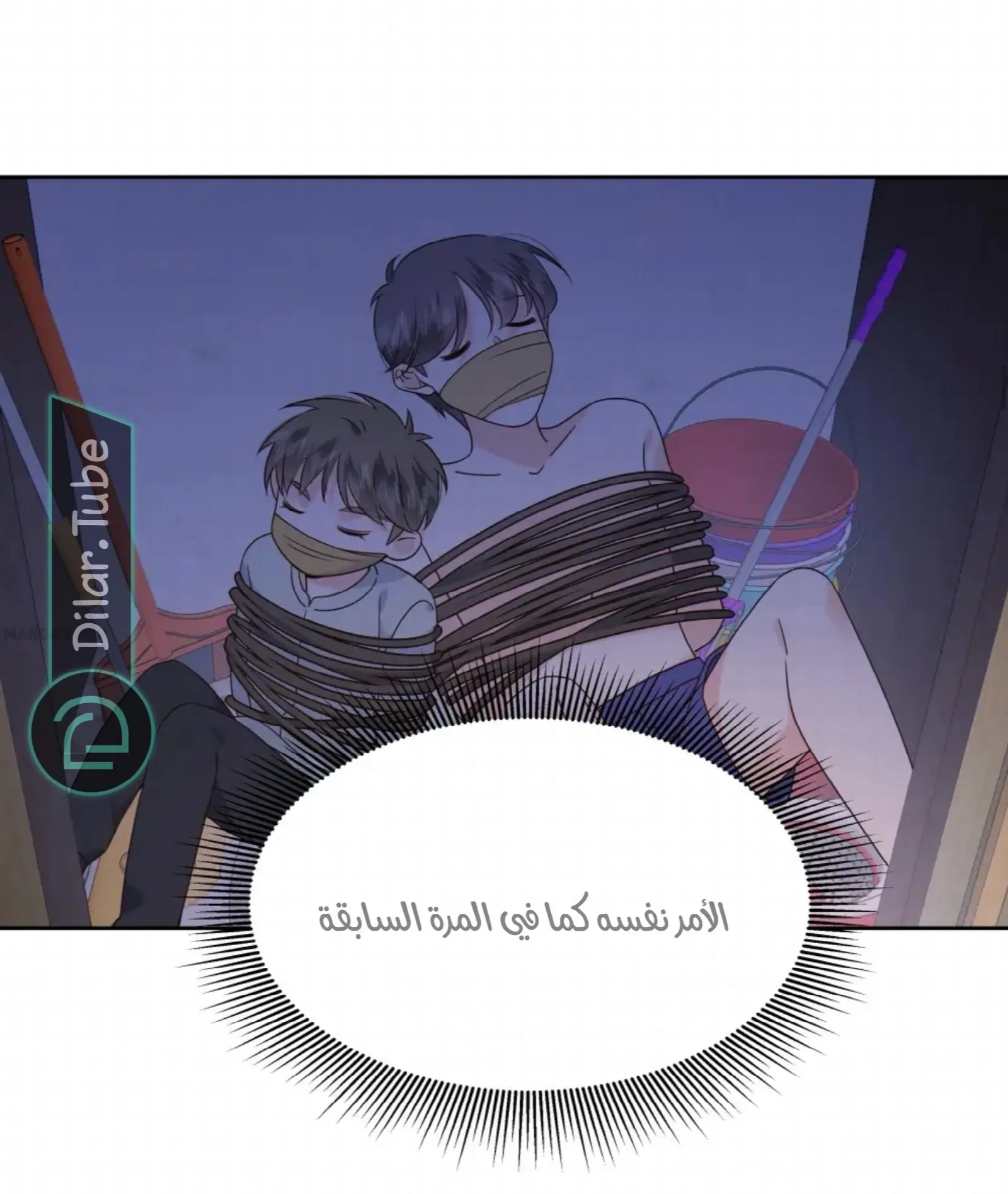 الصفحة 12