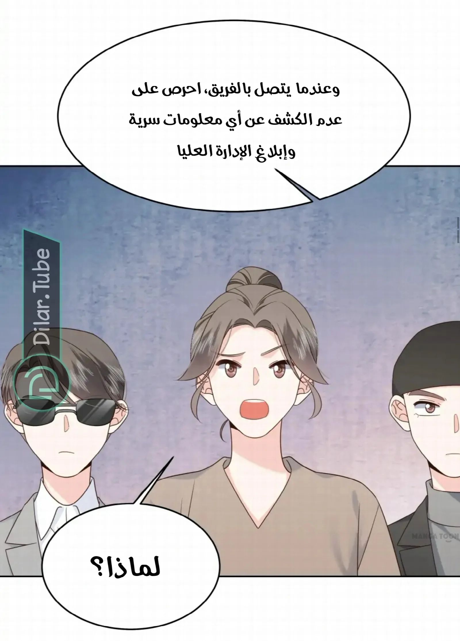 الصفحة 12