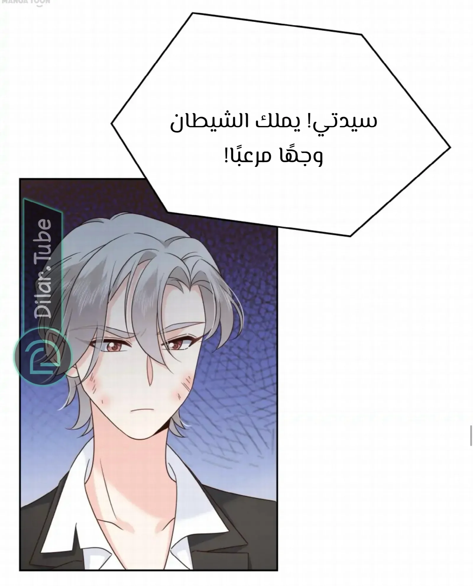 الصفحة 27