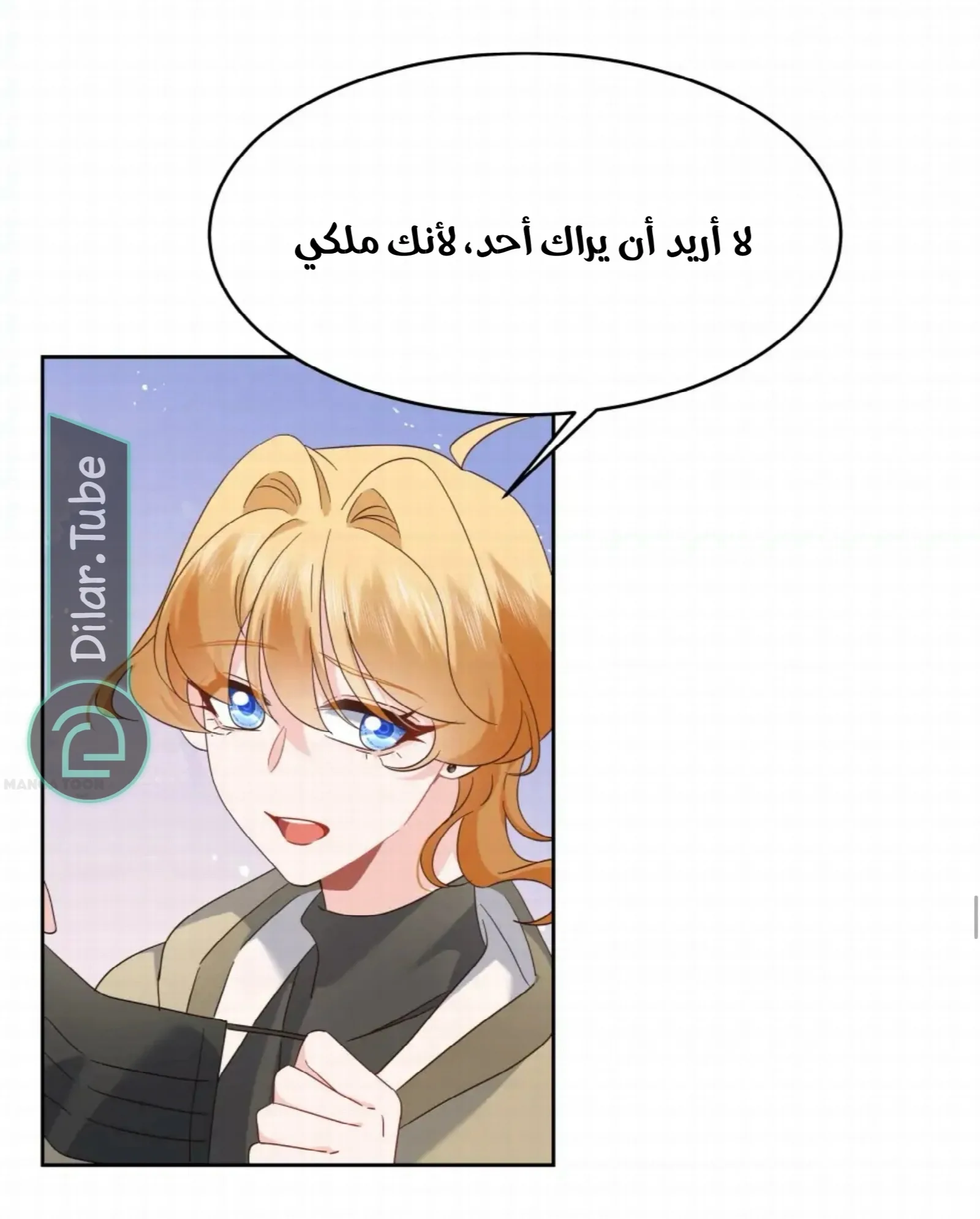 الصفحة 27