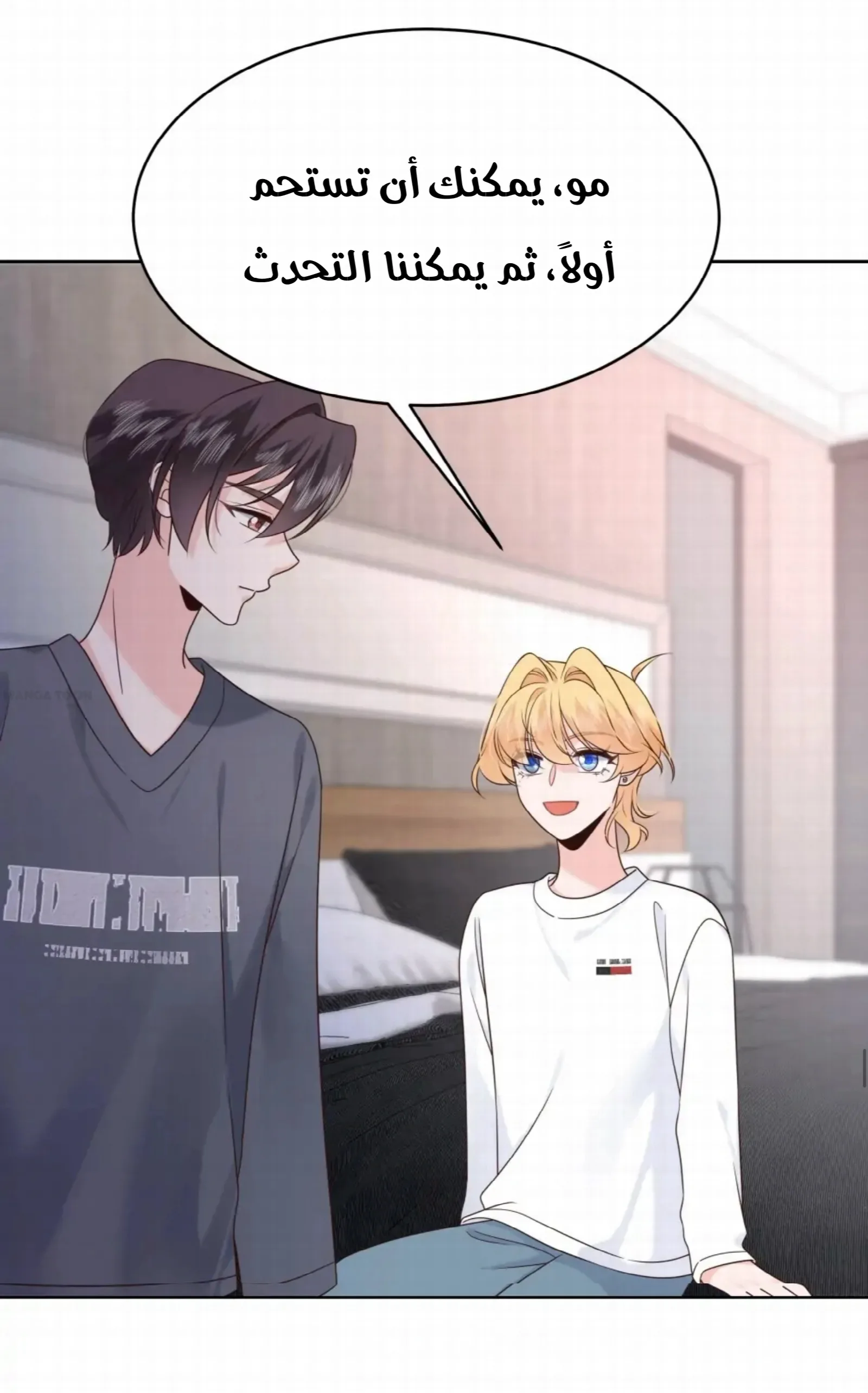 الصفحة 20