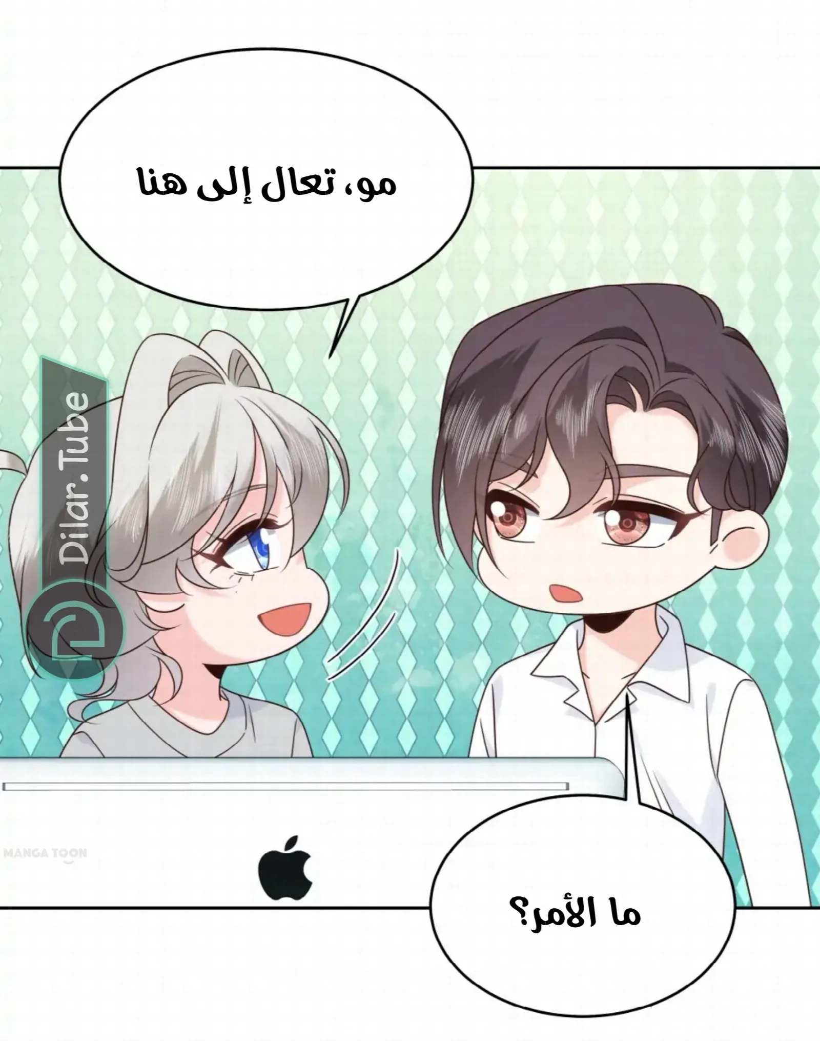 الصفحة 29
