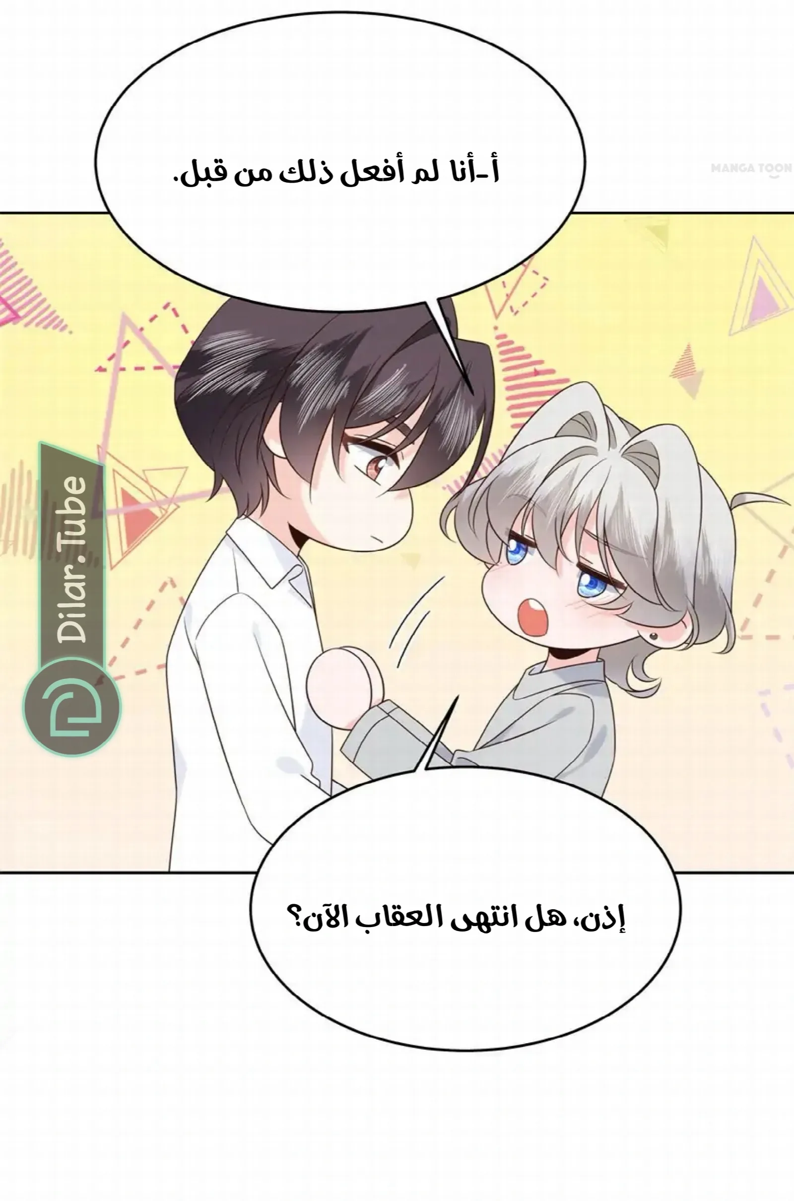 الصفحة 12