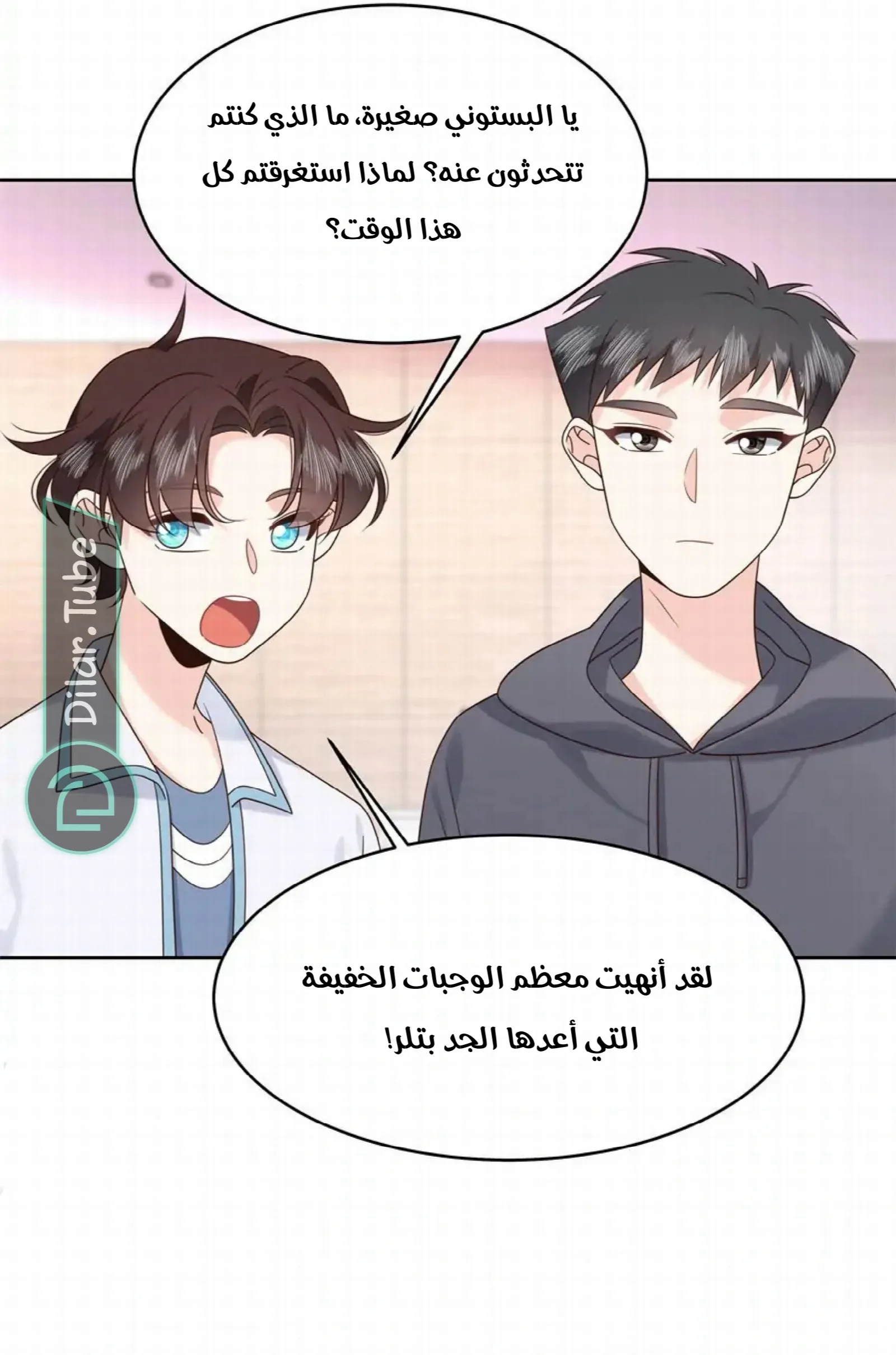الصفحة 14