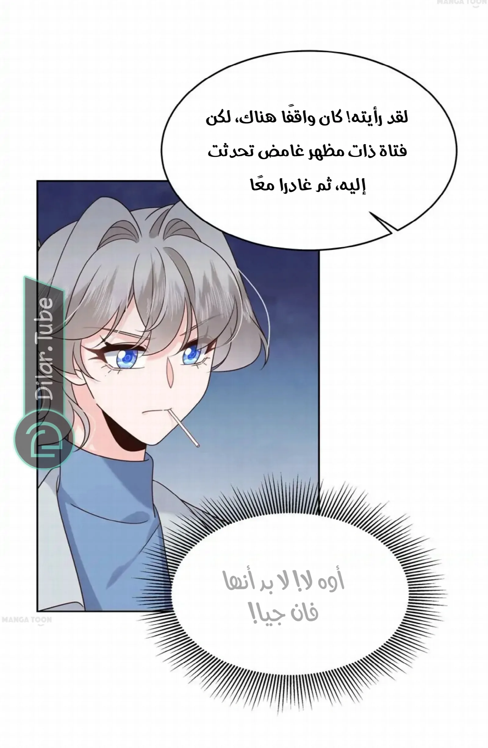 الصفحة 13