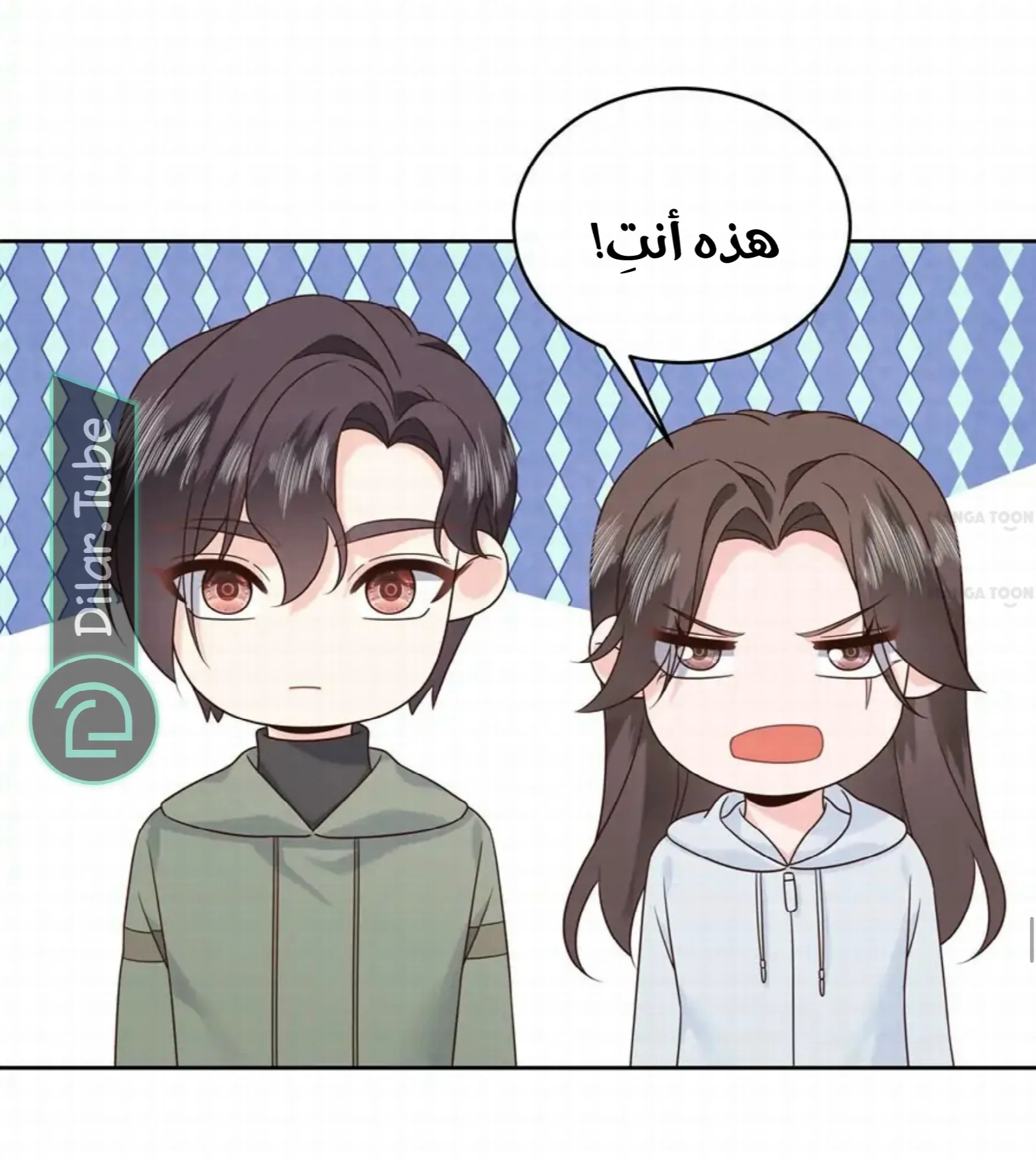 الصفحة 29