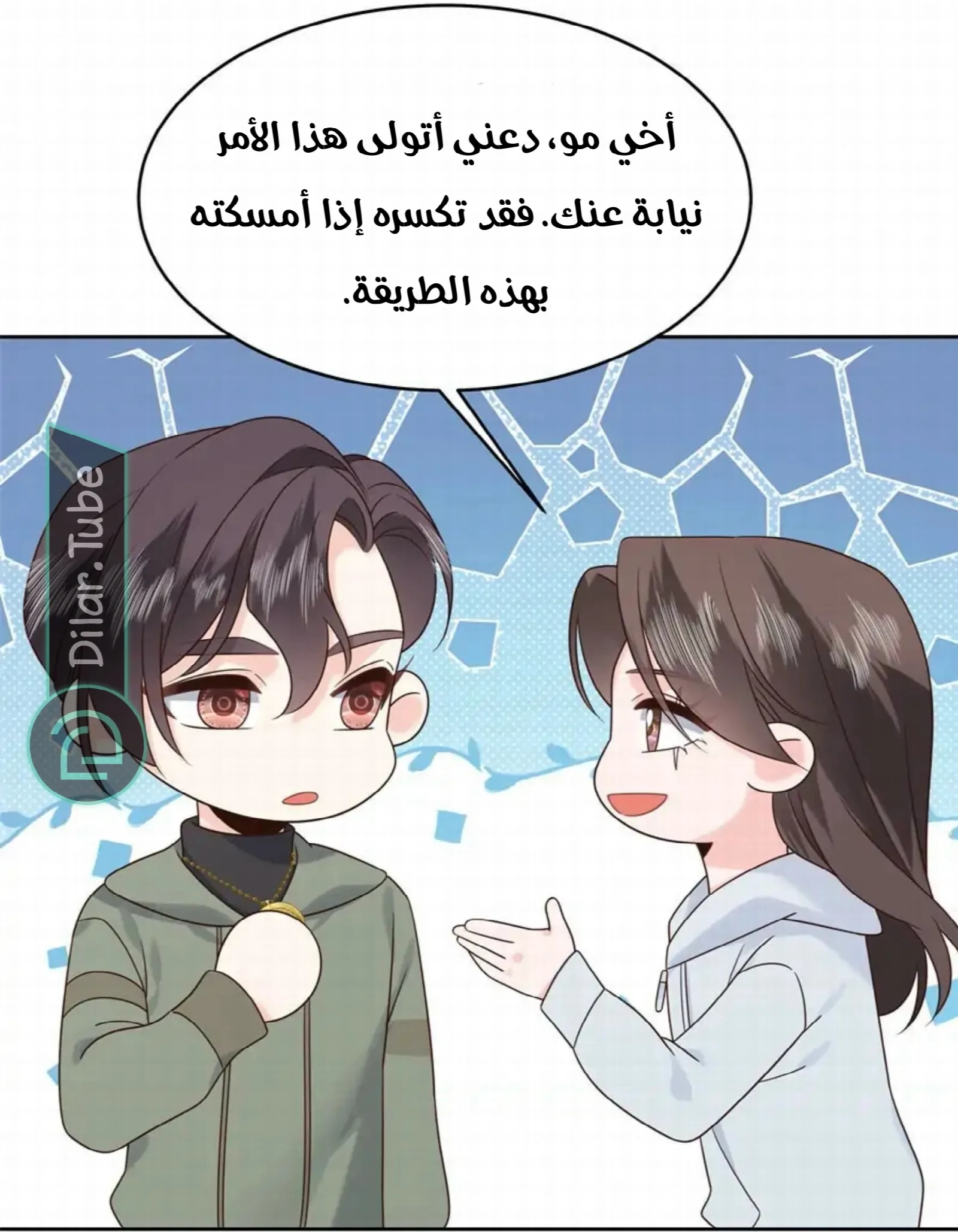 الصفحة 41
