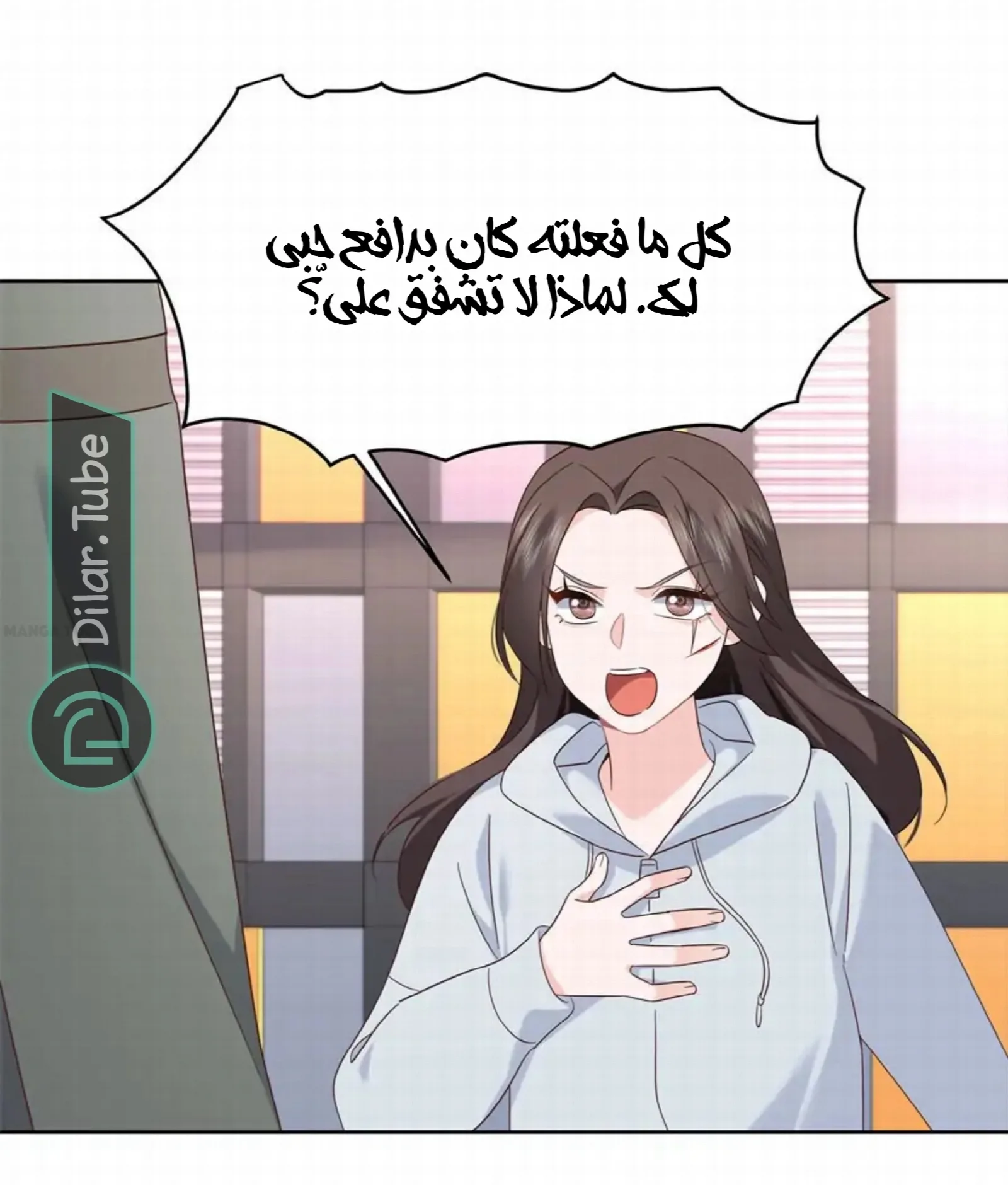 الصفحة 17