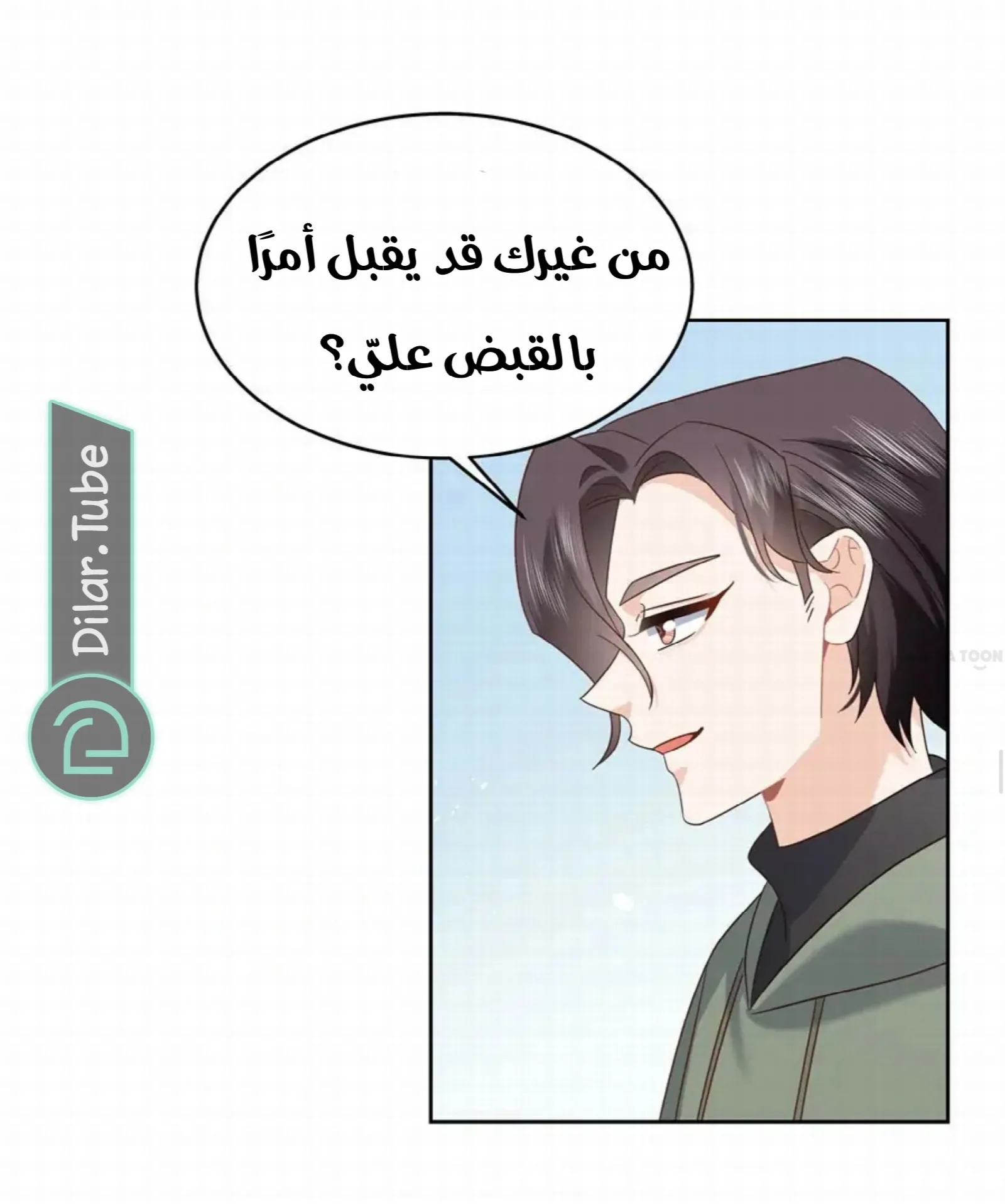 الصفحة 26