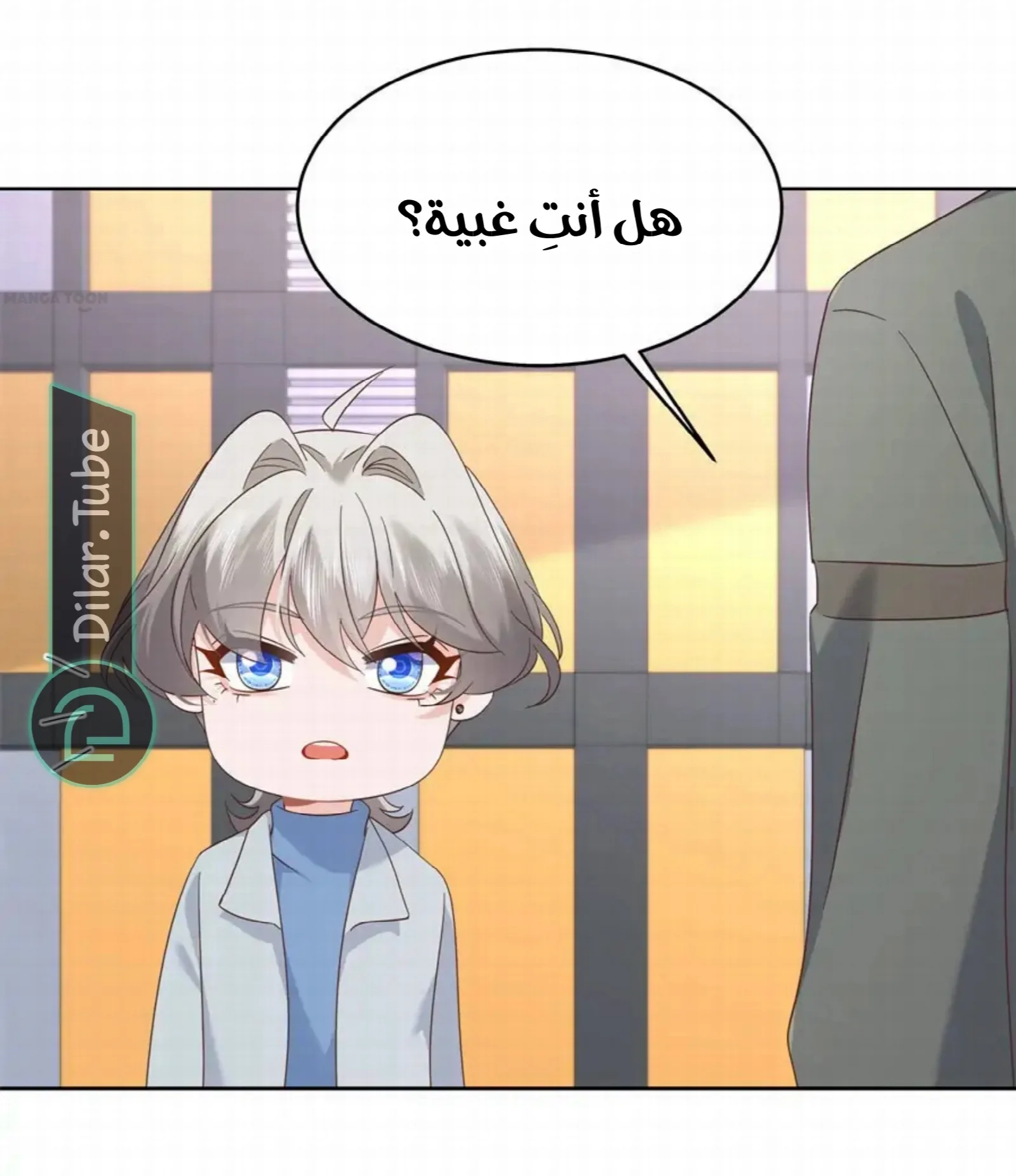 الصفحة 27