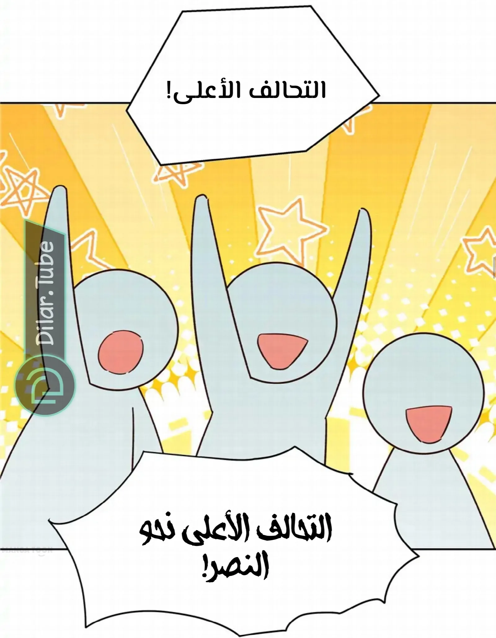 الصفحة 17