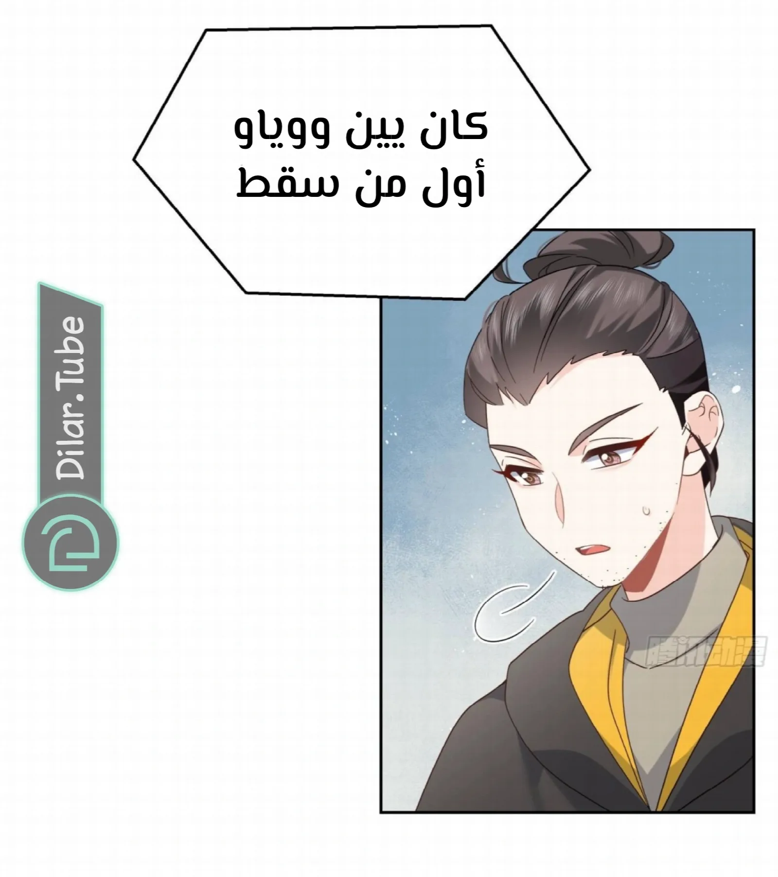 الصفحة 17