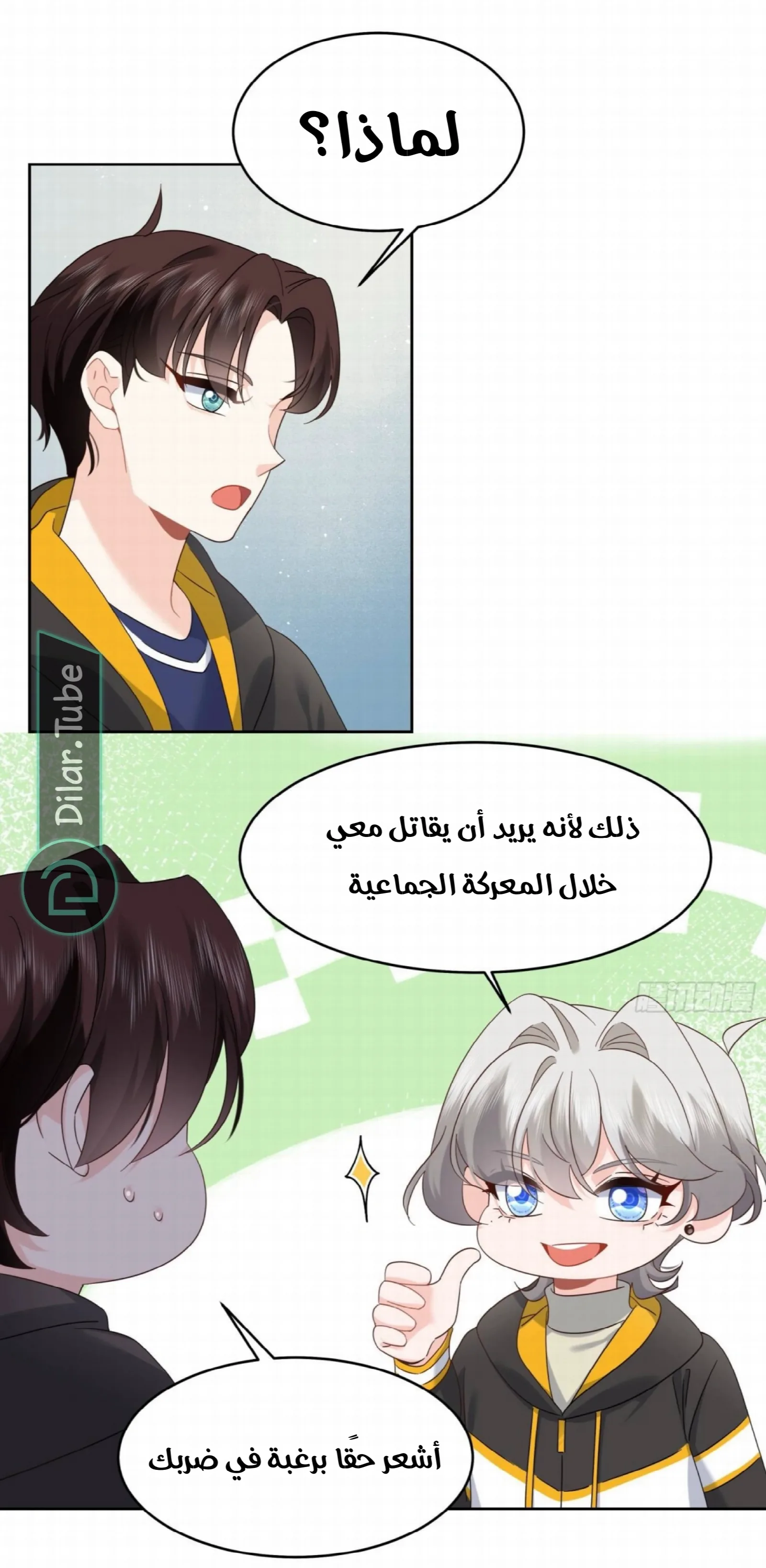 الصفحة 26