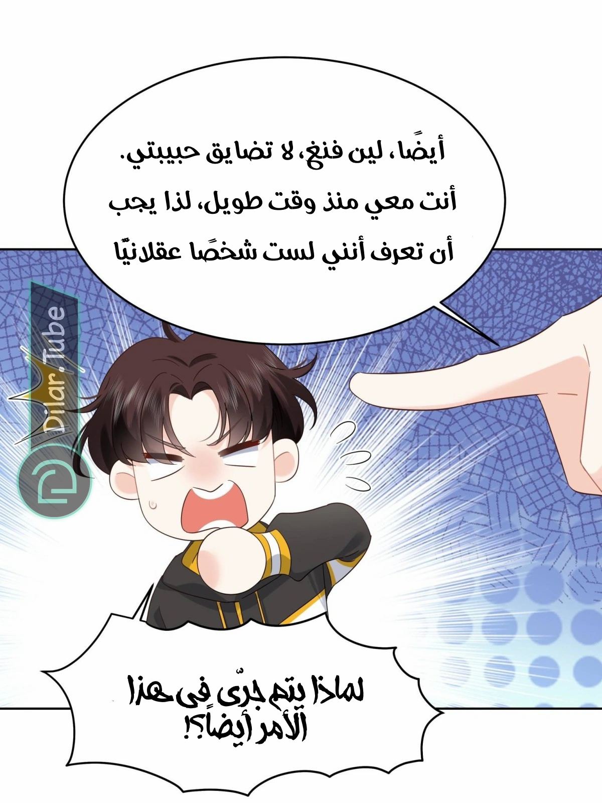 الصفحة 28