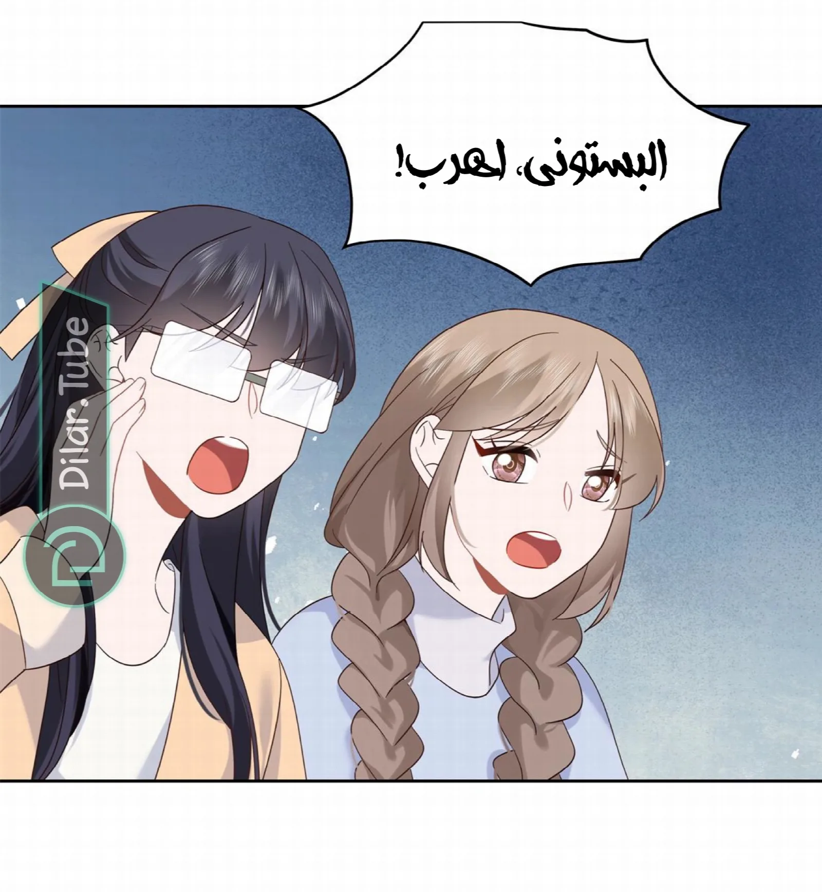 الصفحة 15