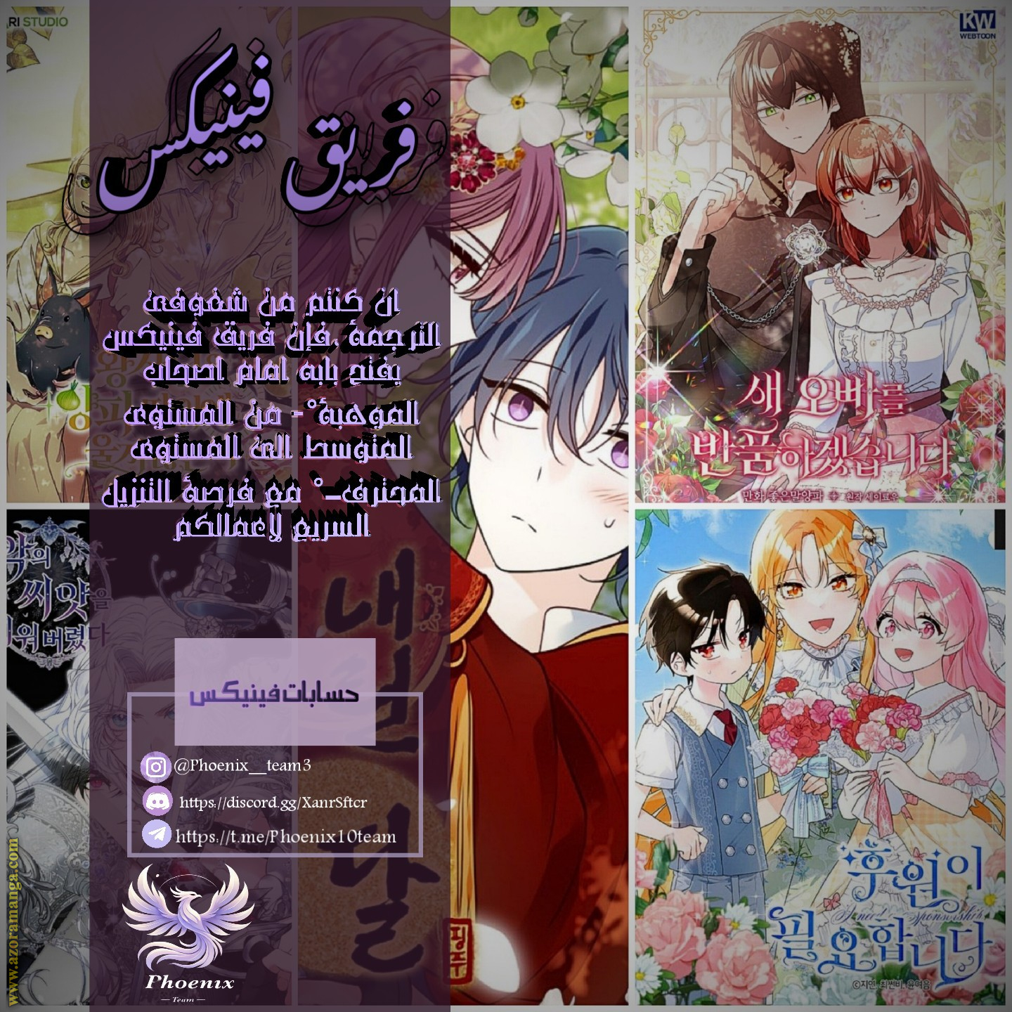 الصفحة 11