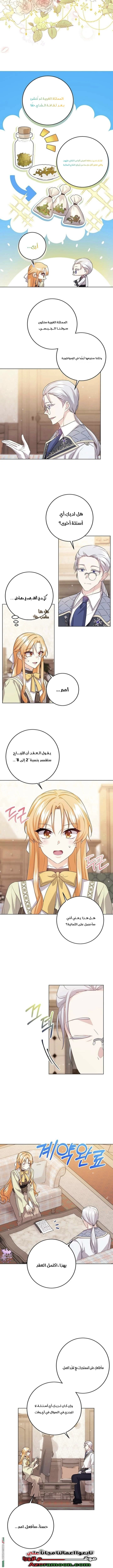 الصفحة 7