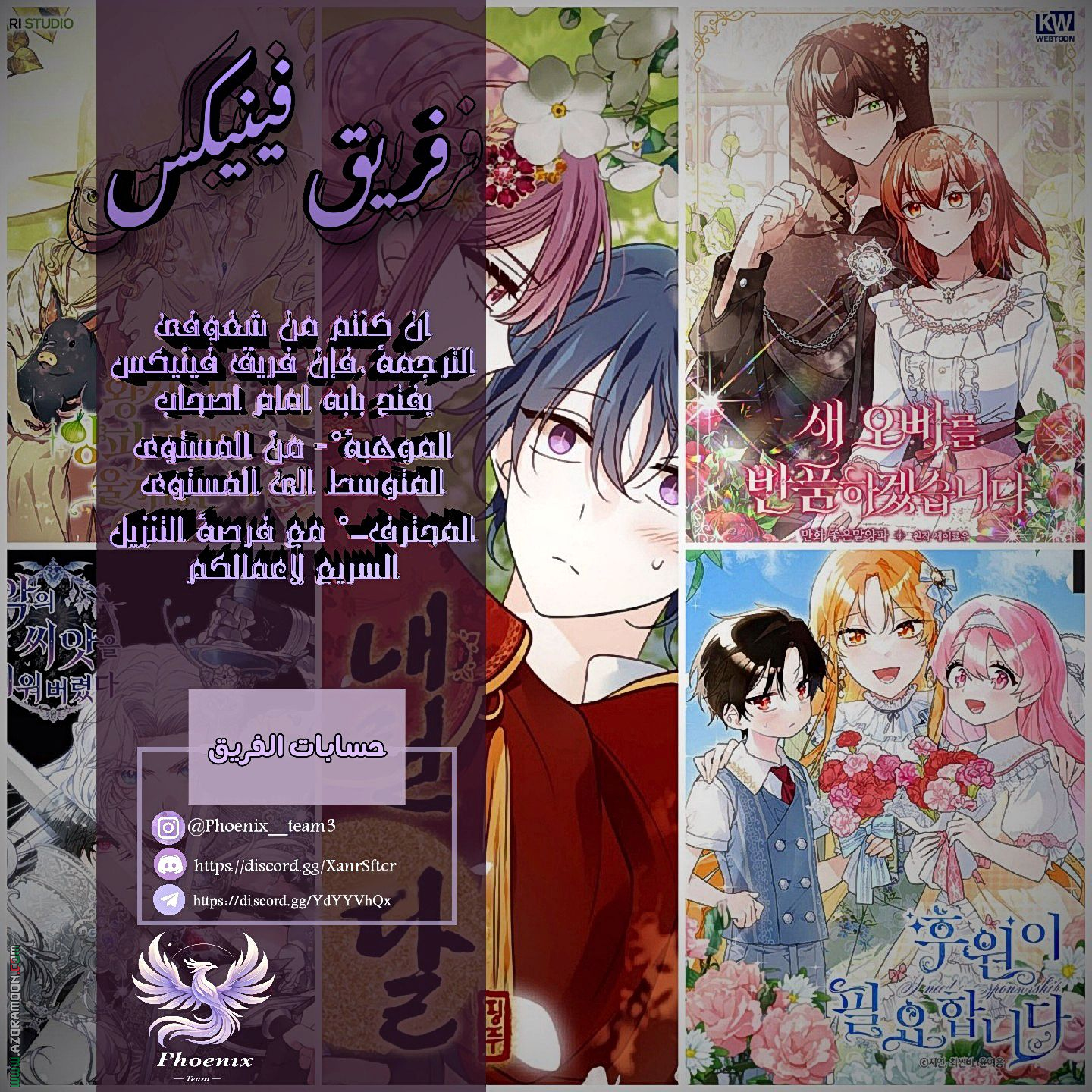 الصفحة 13