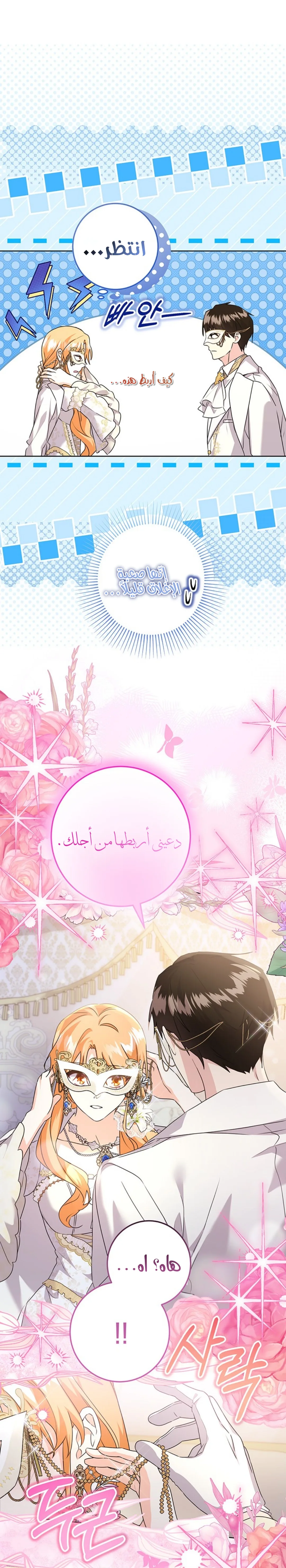 الصفحة 17