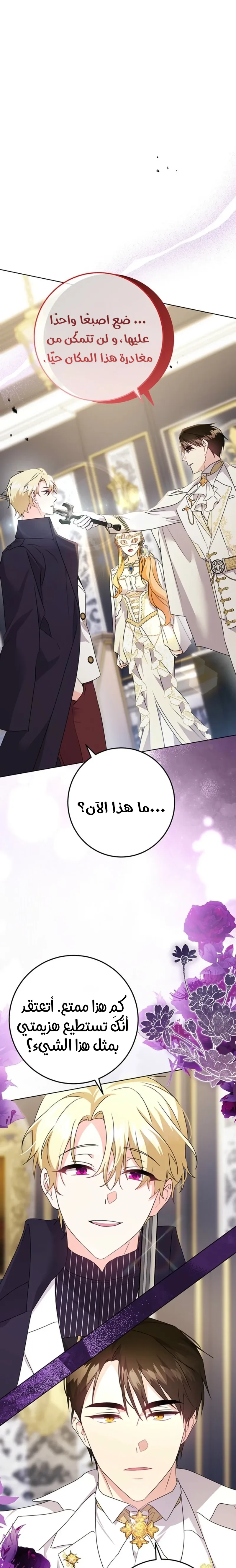 الصفحة 17