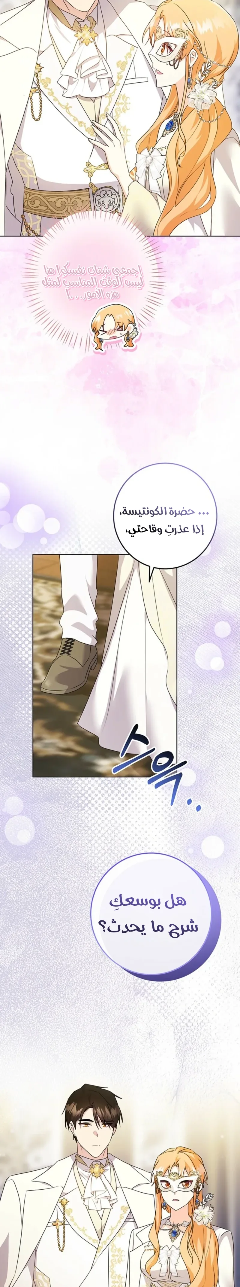 الصفحة 26