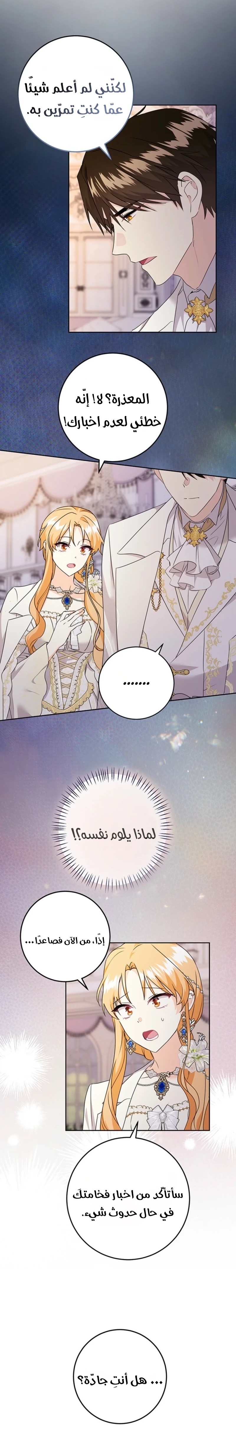 الصفحة 12