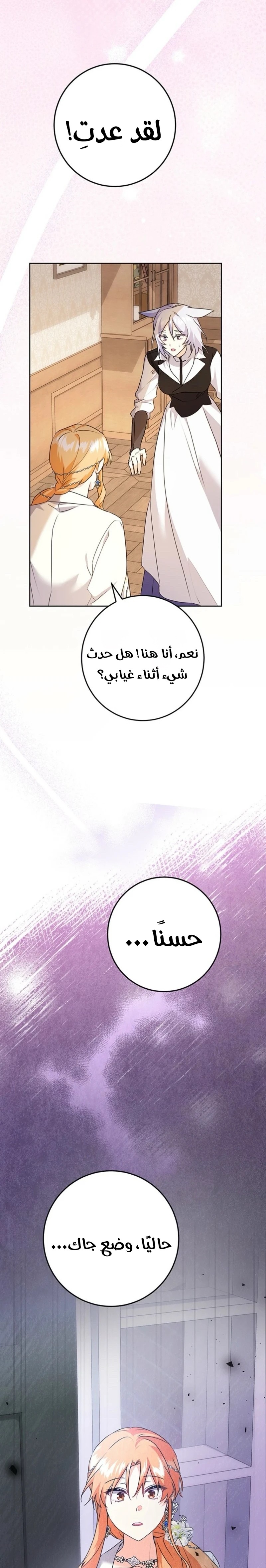 الصفحة 27