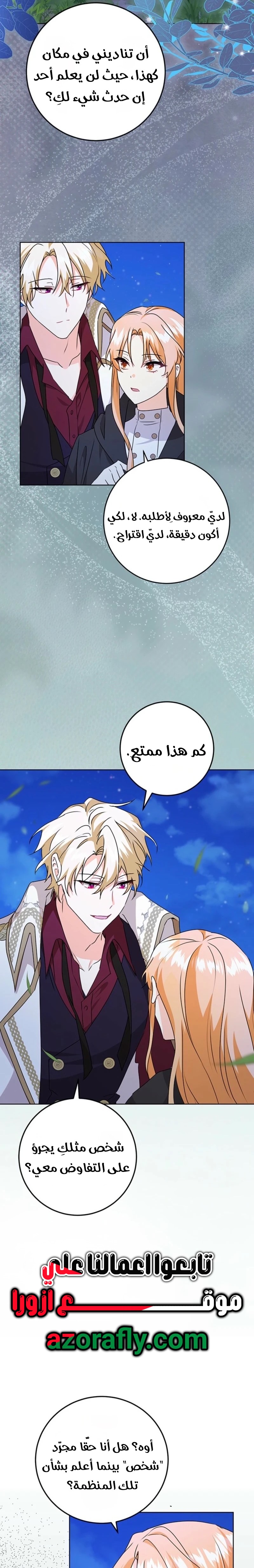 الصفحة 17