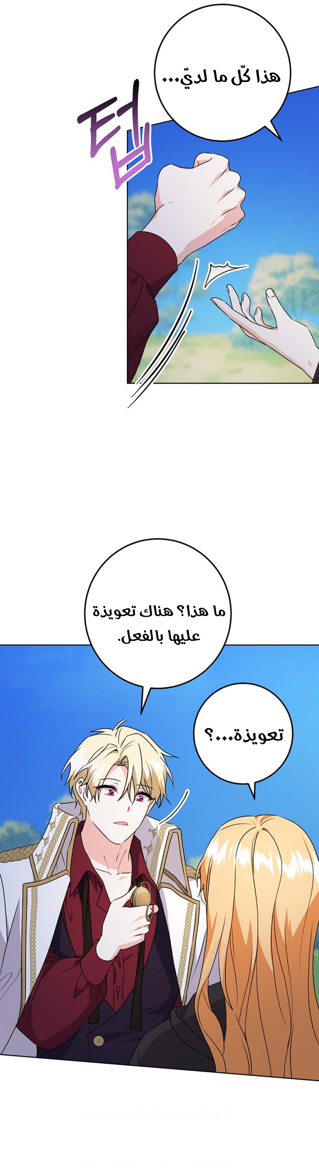 الصفحة 13