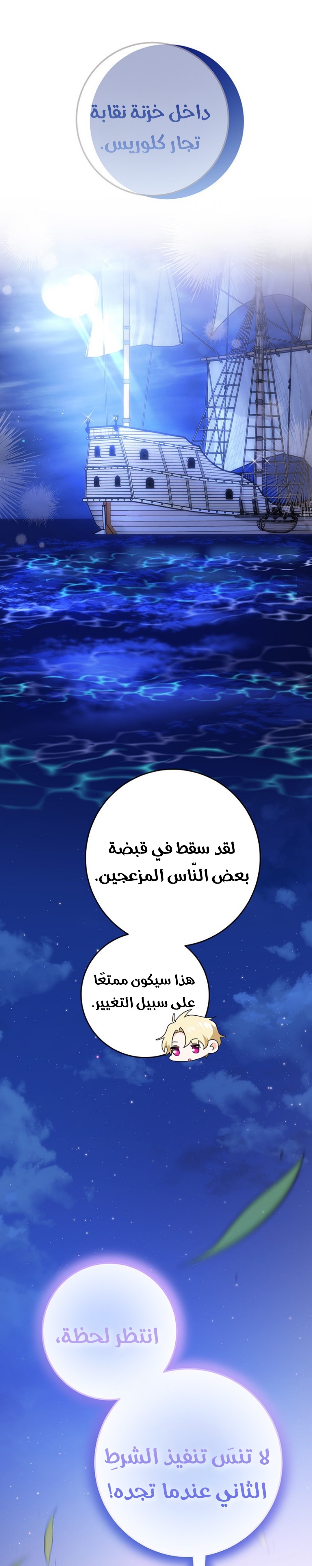 الصفحة 17