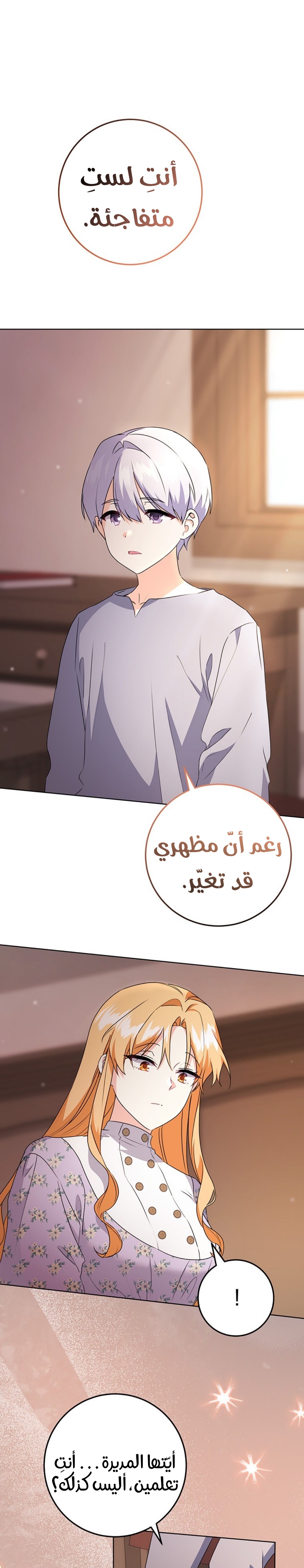 الصفحة 20