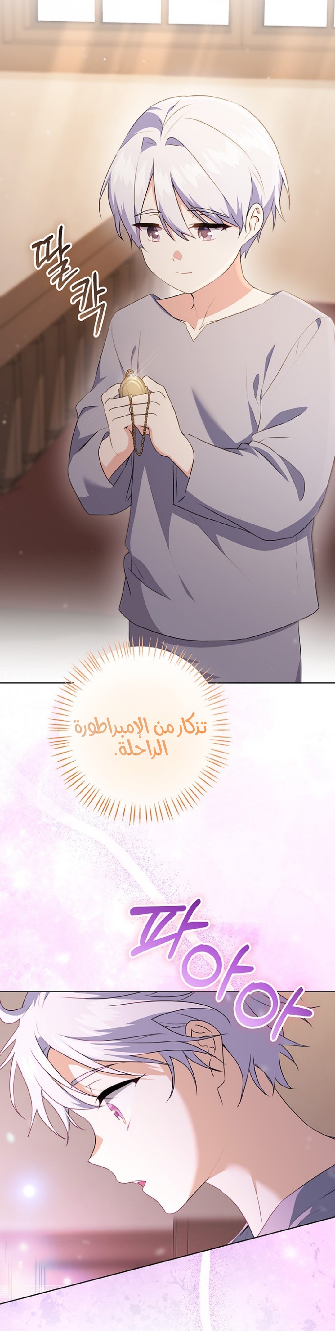 الصفحة 27