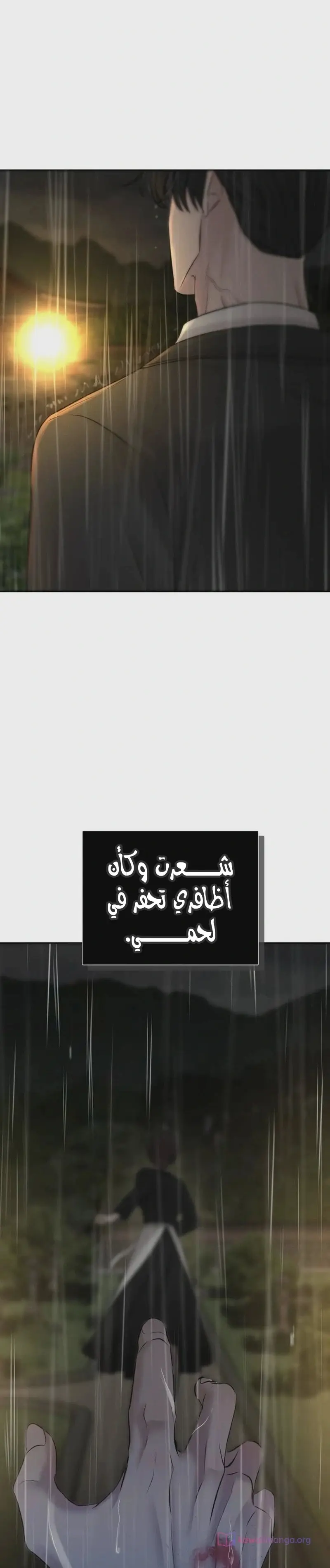الصفحة 21