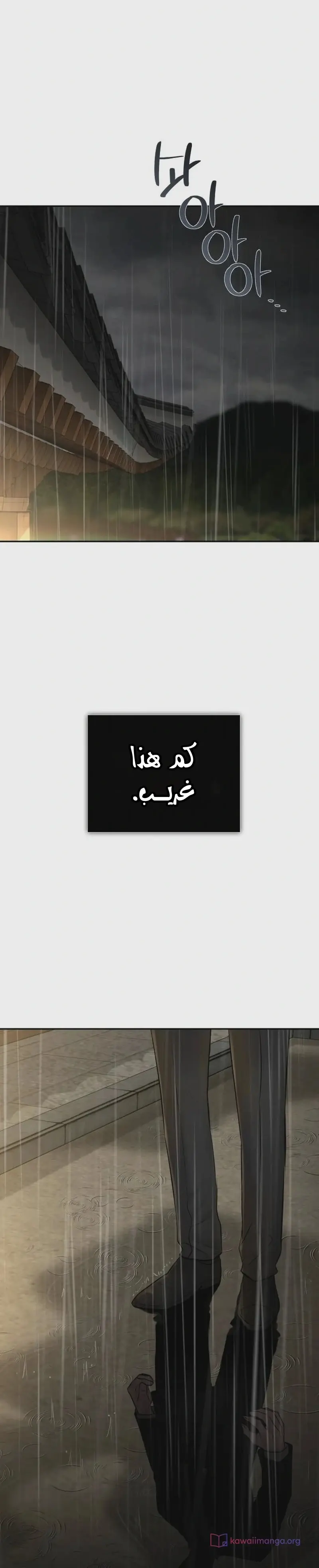 الصفحة 29