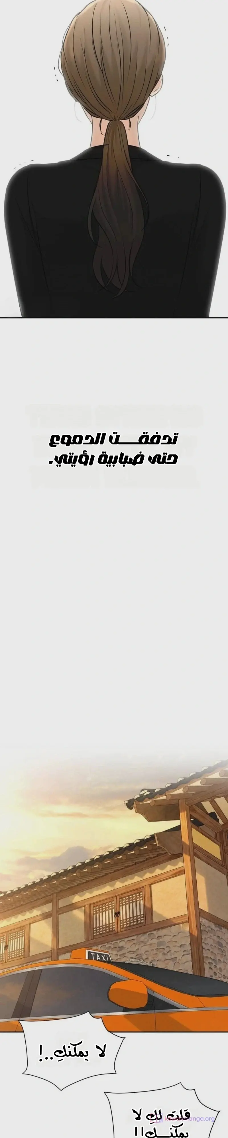 الصفحة 39