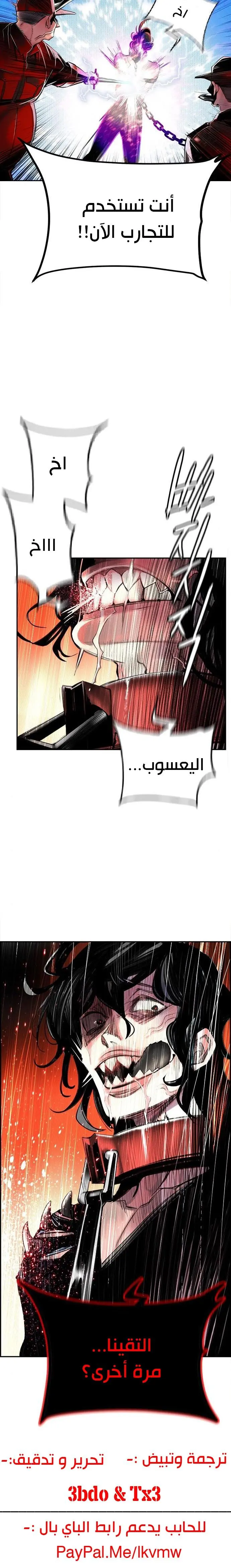الصفحة 17